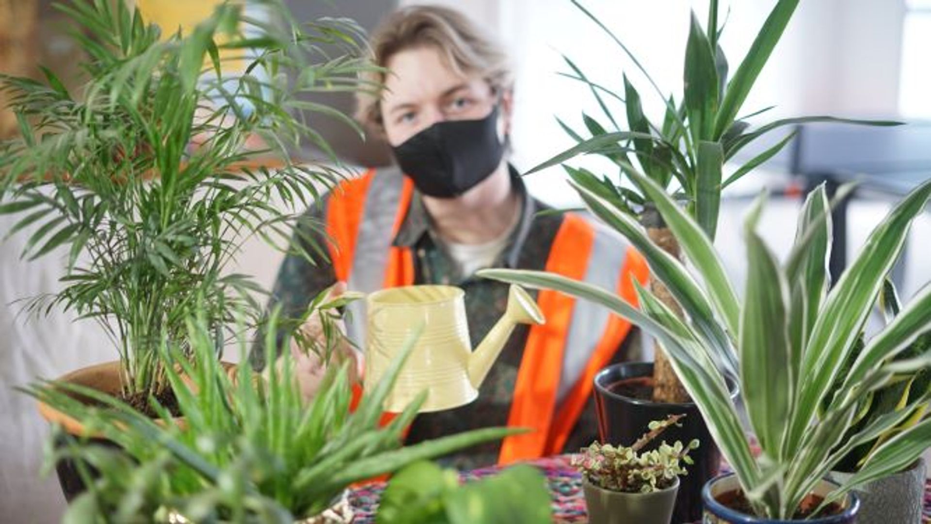 POT IT LIKE IT'S HOT