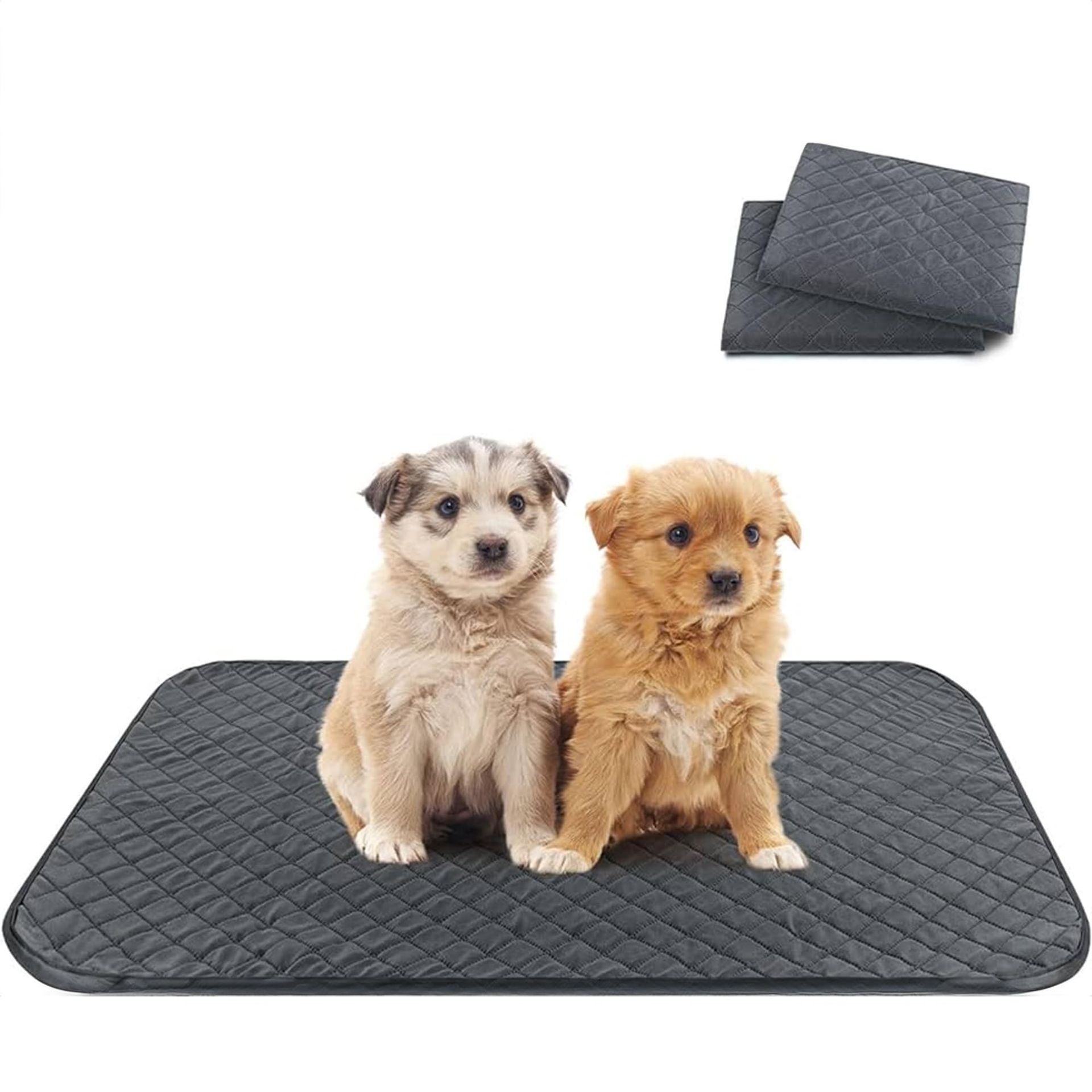 Techson Reusable Dog Training Pads (2 Pack), Super Absorbent Fast Drying Puppy Pads , Washable Waterproof Pee Pad for Home, Travel, Car (60 x 45cm / 23.6 x 17.7 inches)