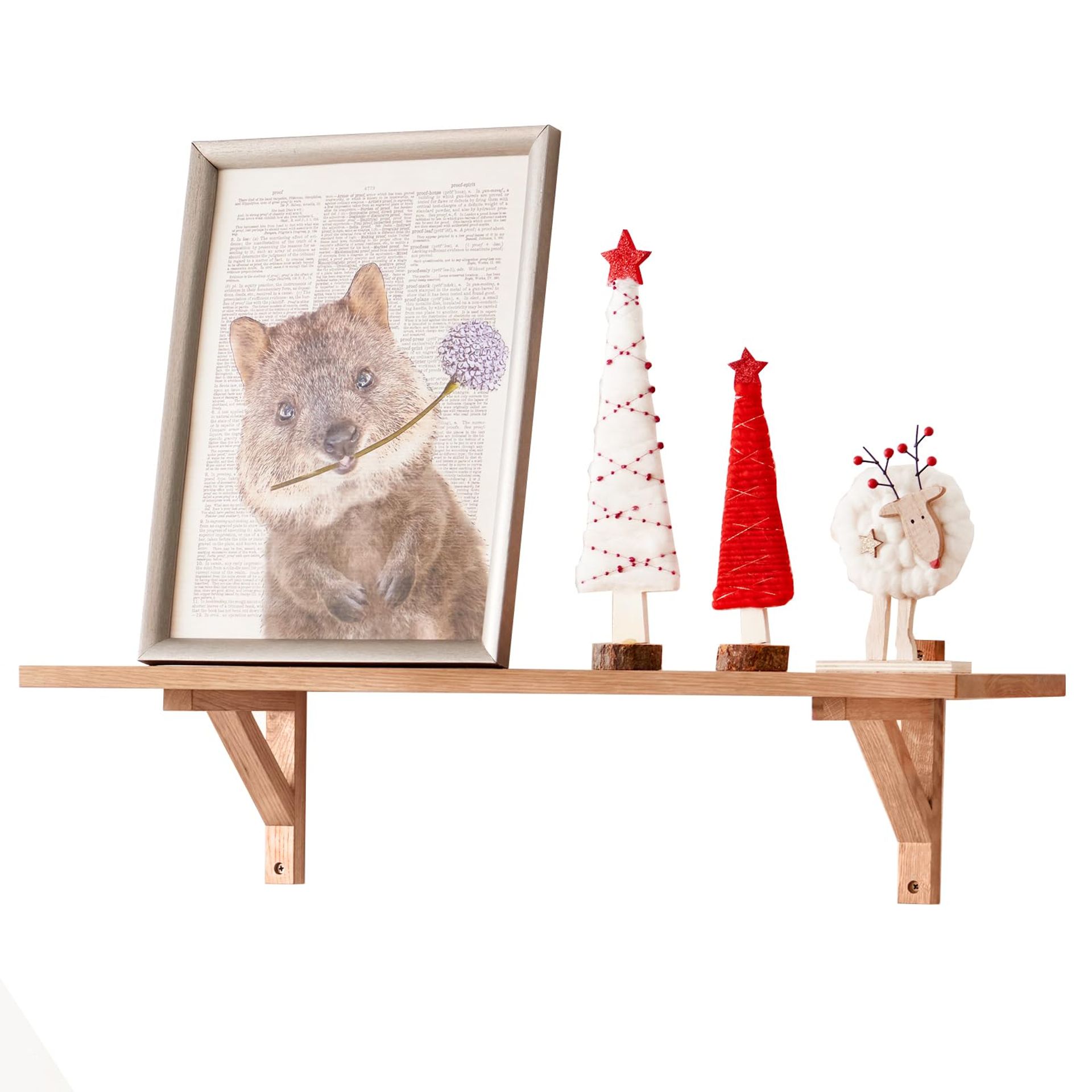 Solid Oak Wood Floating Shelf 60cm - Rustic Wall Mounted Display Ledge for Living Room, Bedroom Decor