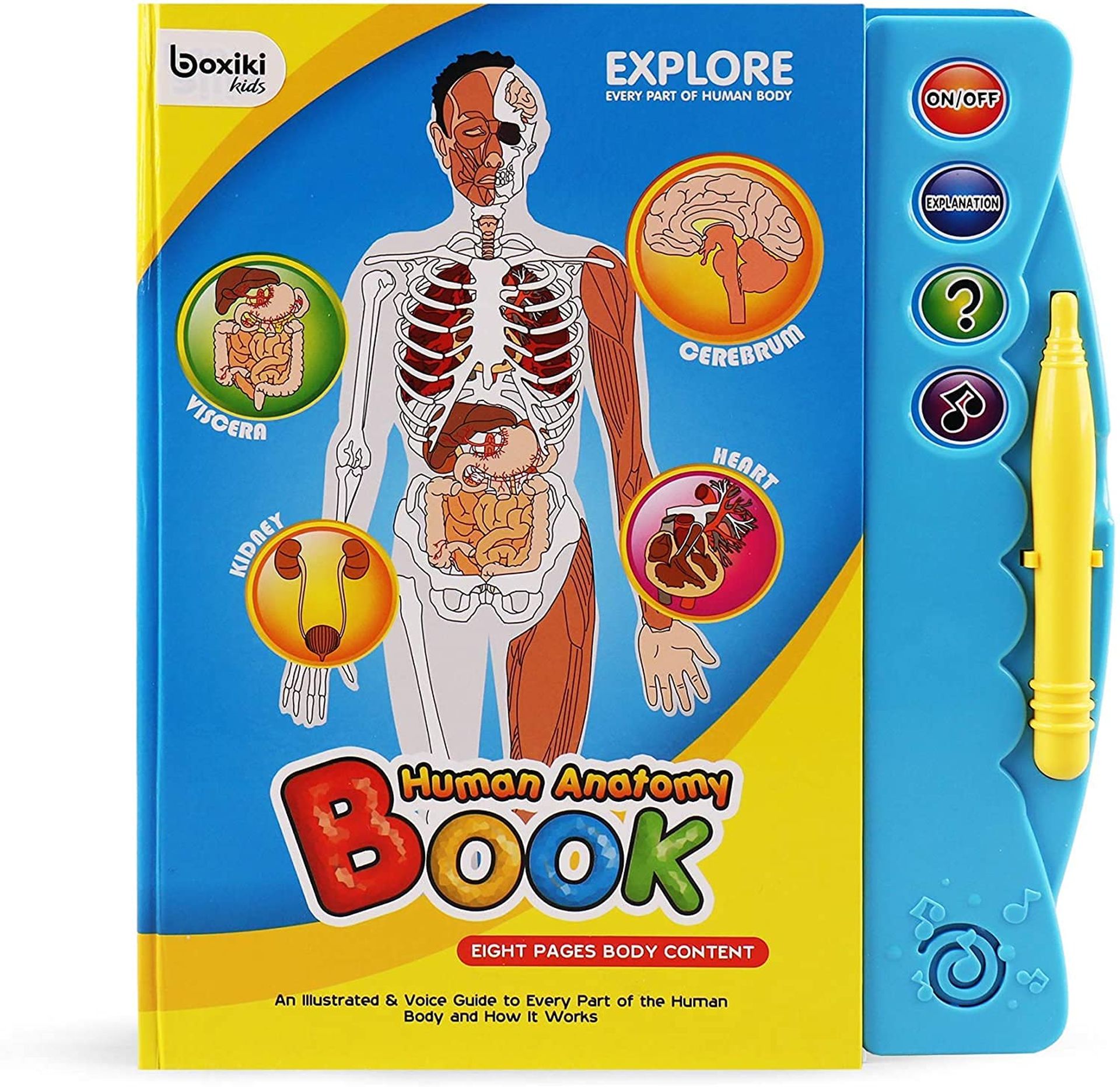 Human Body Activity Book for Kids with Sounds & Quizzes | Fun Educational Toy Ages 3+