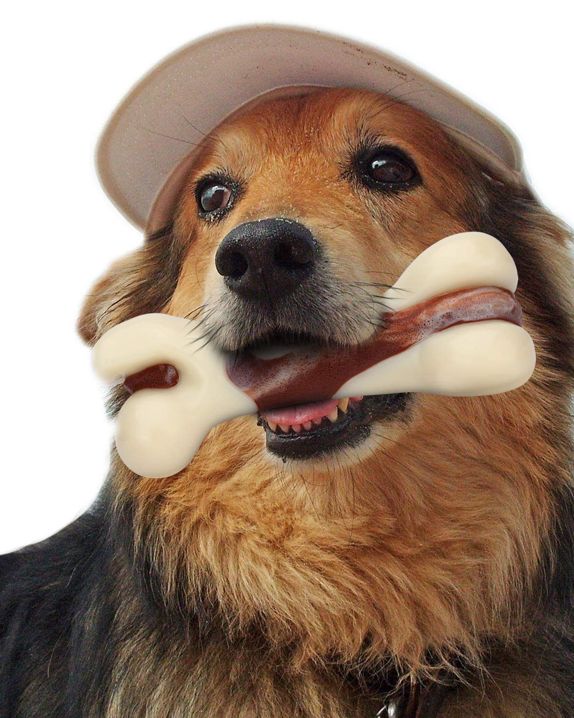 Durable Dog Chew Bone Toy for Aggressive Chewers with Bacon Scent, Interactive Beef-Flavoured Training Toy - White/Brown M