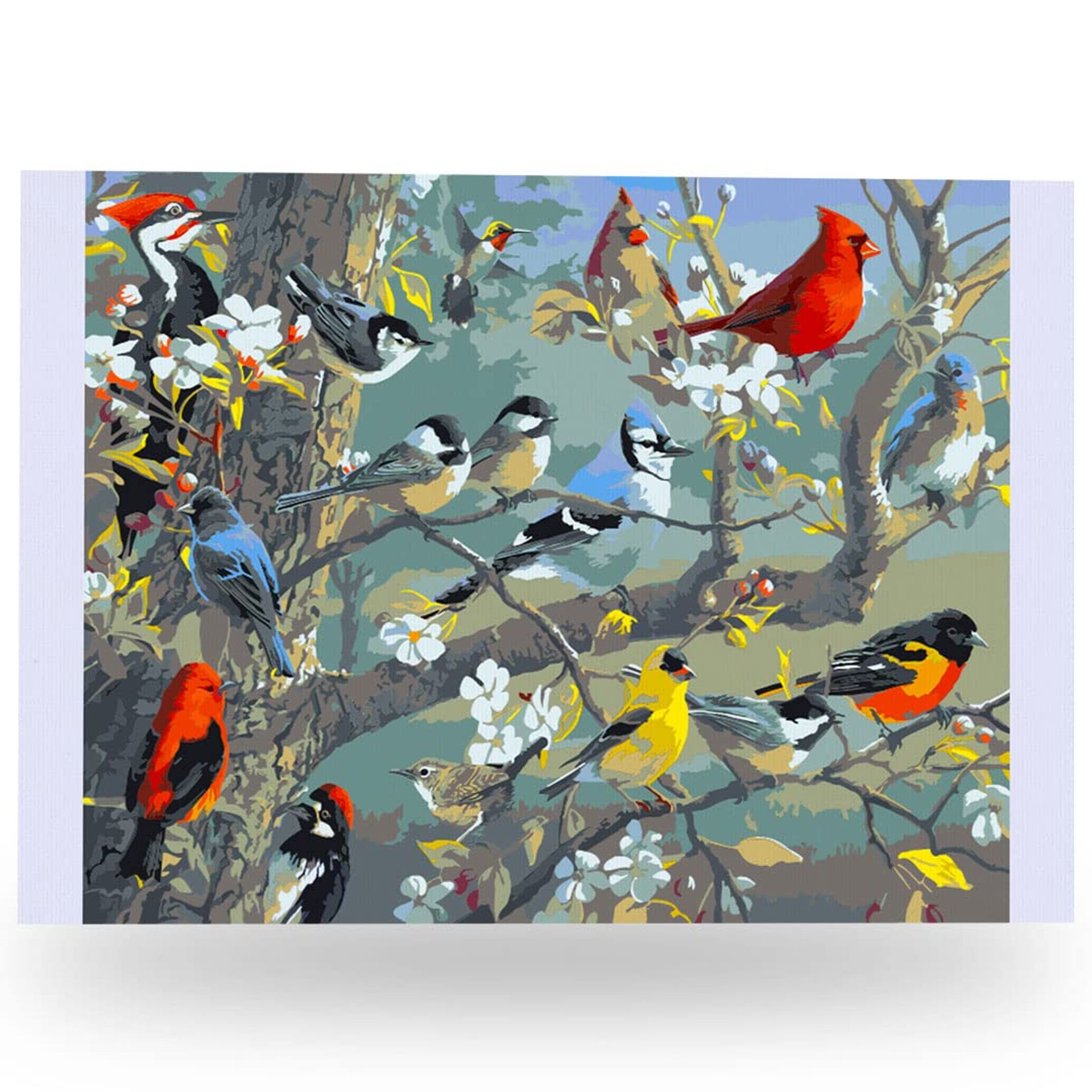 Ledgebay Paint by Numbers Kit for Adults - Orchard Puzzle 40x50 cm, Unframed