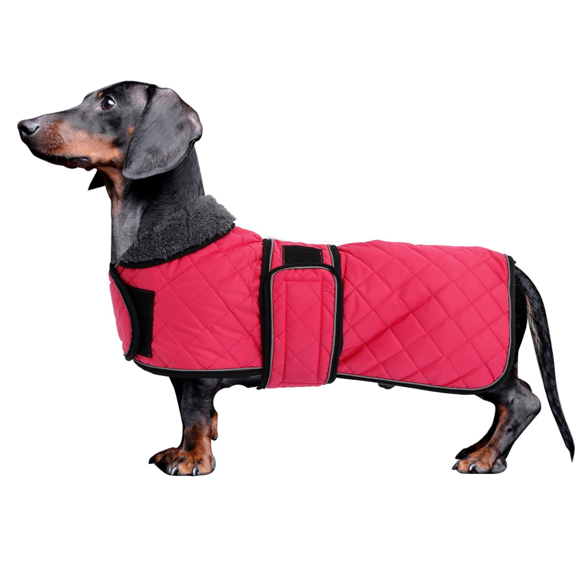 Dog Winter Coat Waterproof Padded Fleece Lining Warm Jacket for Dachshunds - Pink Large