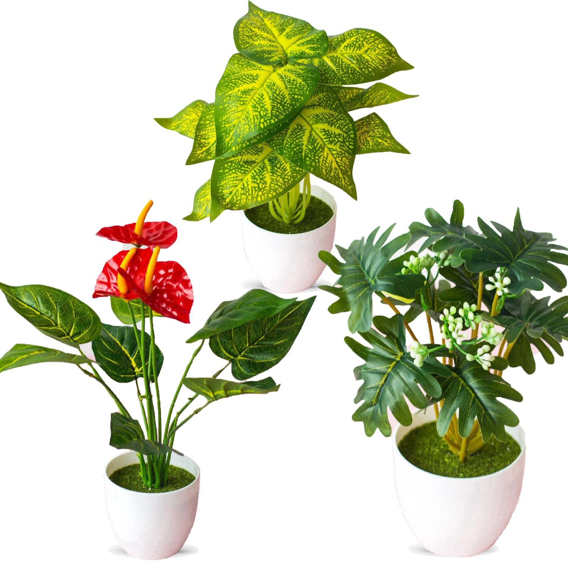 2 inch plant pots 2' x 2' x 2 1/8' pots  Orchids by the Lake