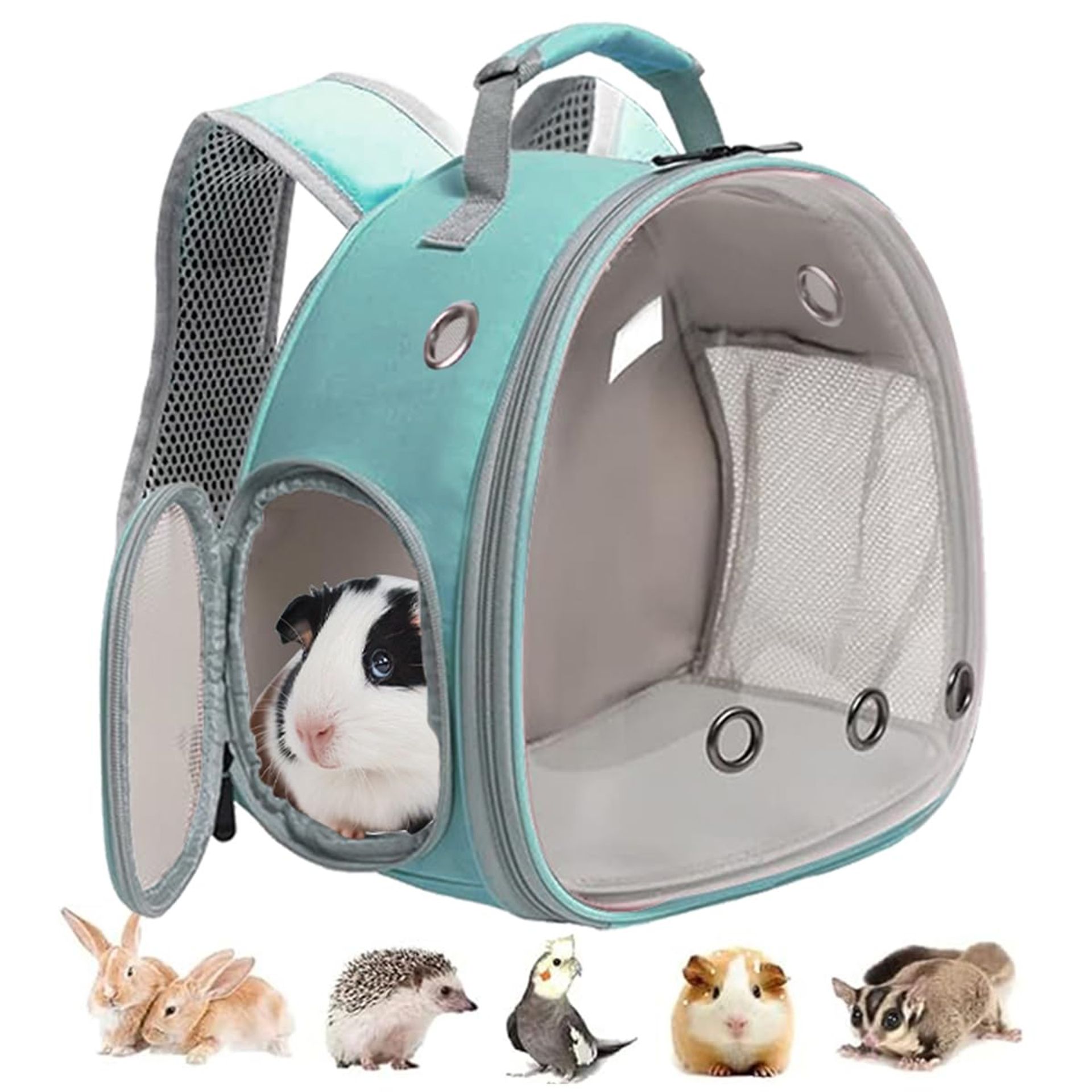 Small Animal Backpack with Space Capsule Bubble Window for Guinea Pigs, Rabbits & Birds - Green Large