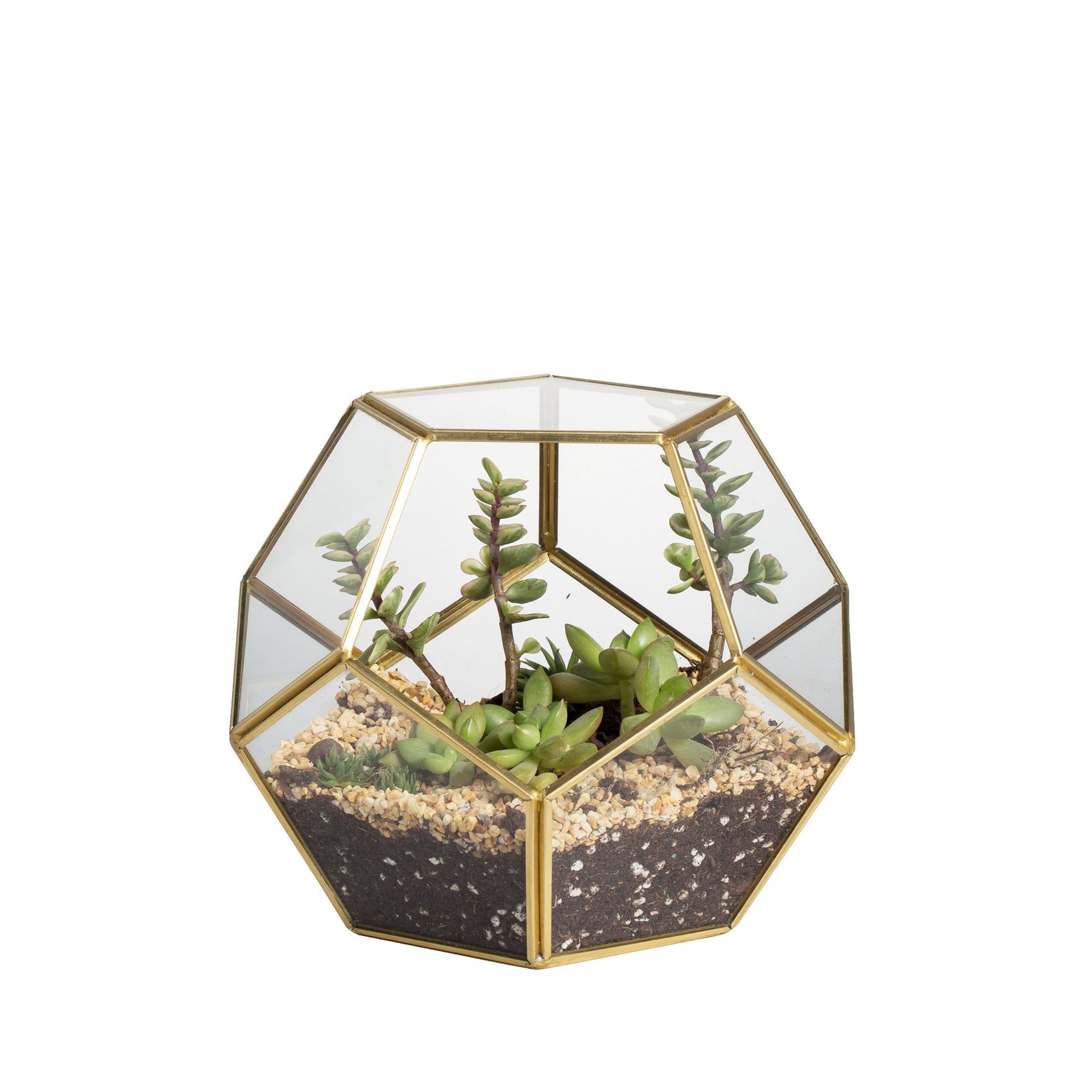 Geometric Glass Terrarium for Succulents - Elegant Brass Display Planter, Ideal for Weddings and Indoor Decor - Spring Refresh