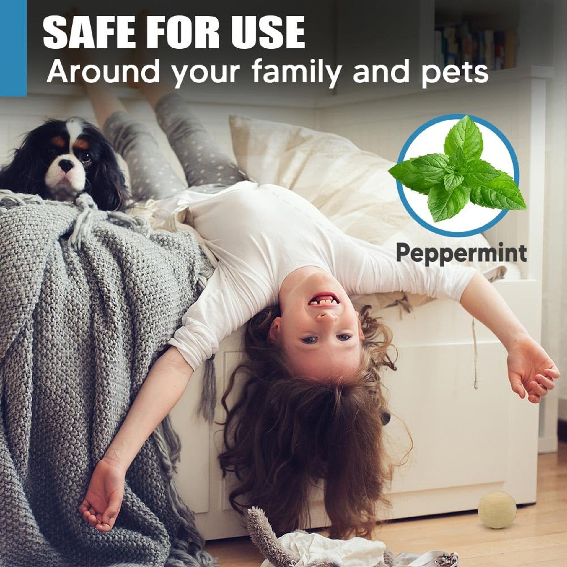 Rodent Repellent Peppermint Sachets - 10 Pack