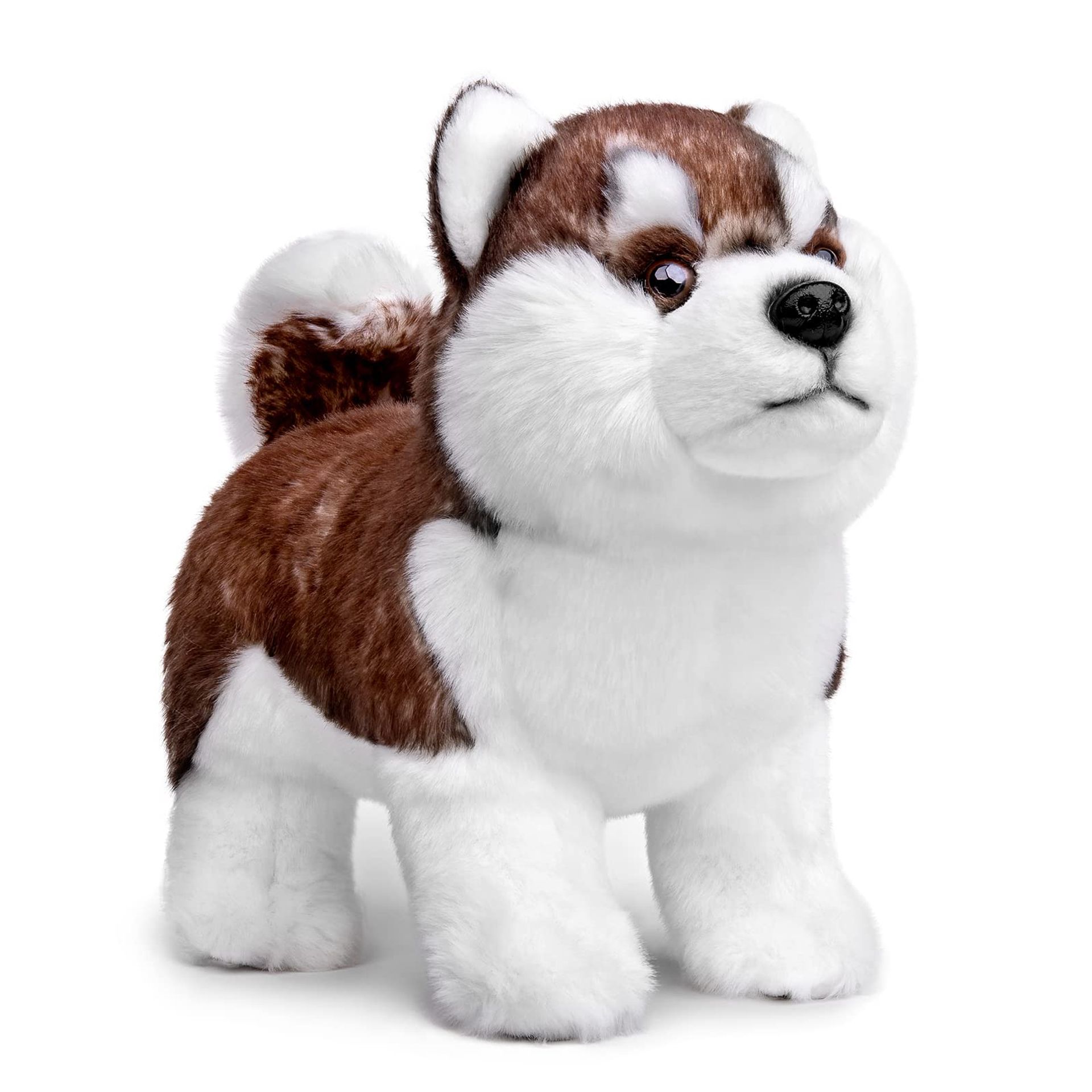 Realistic Husky Dog Plush Toy 12 Inch – Super Soft Stuffed Animal Puppy, Lifelike Design, Perfect Gift & Home Decoration