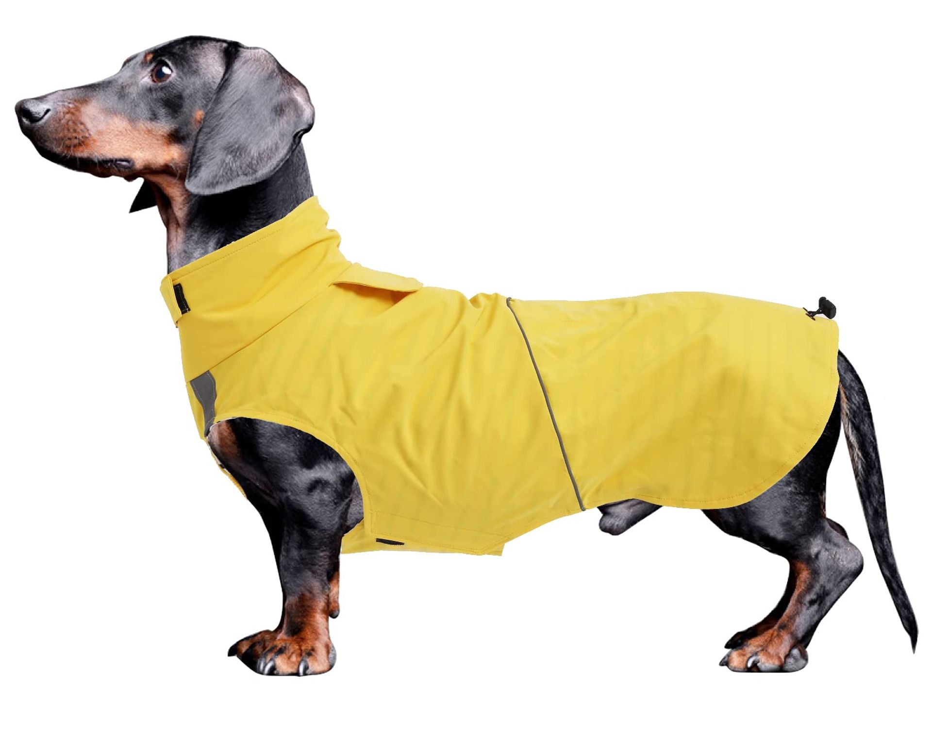 Dachshund Dog Raincoat Waterproof Jacket with Reflective Stripe and Underbelly Protection - Yellow XL