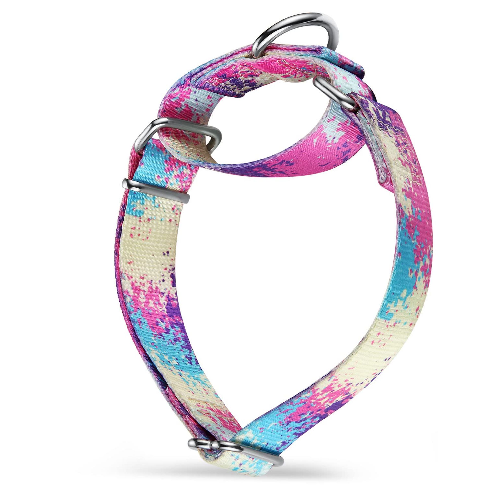 Martingale Dog Collars - No Pull, Silk Soft, Colourful Oil Painting for Medium & Large Dogs