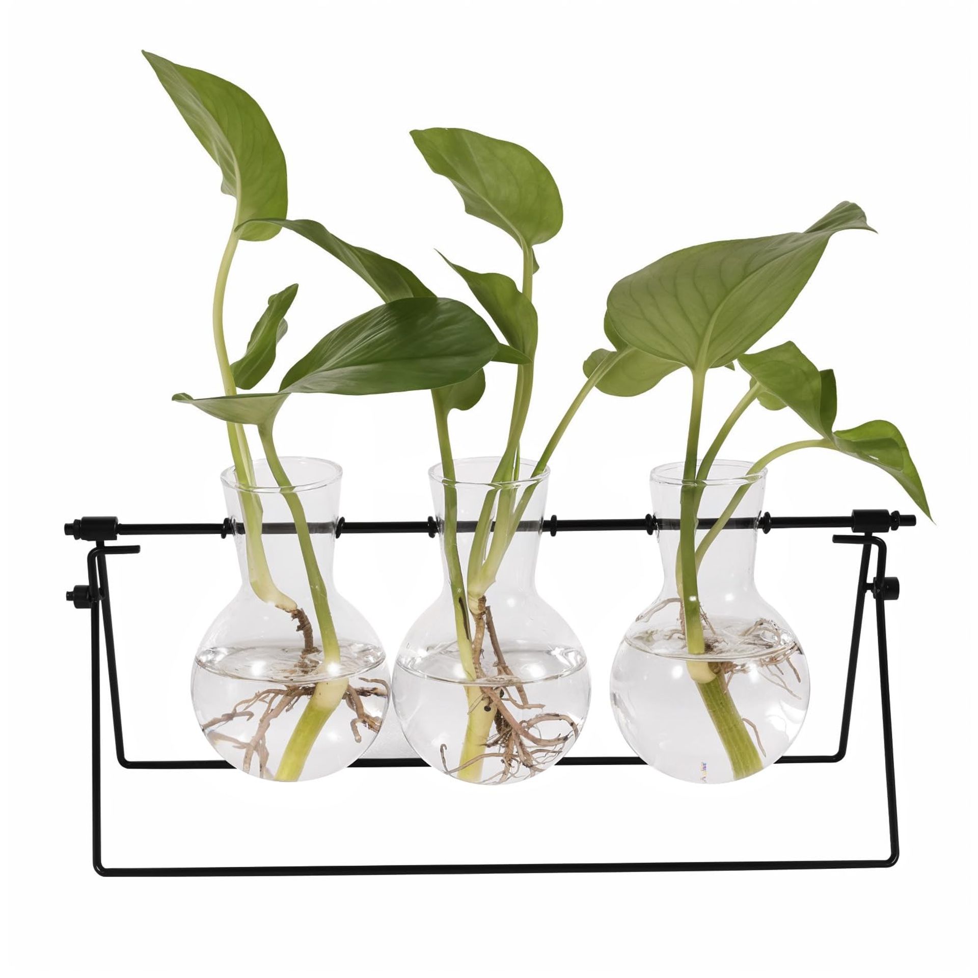 Stylish Plant Terrarium with Metal Stand & 3 Glass Vases for Home Décor or Propagation