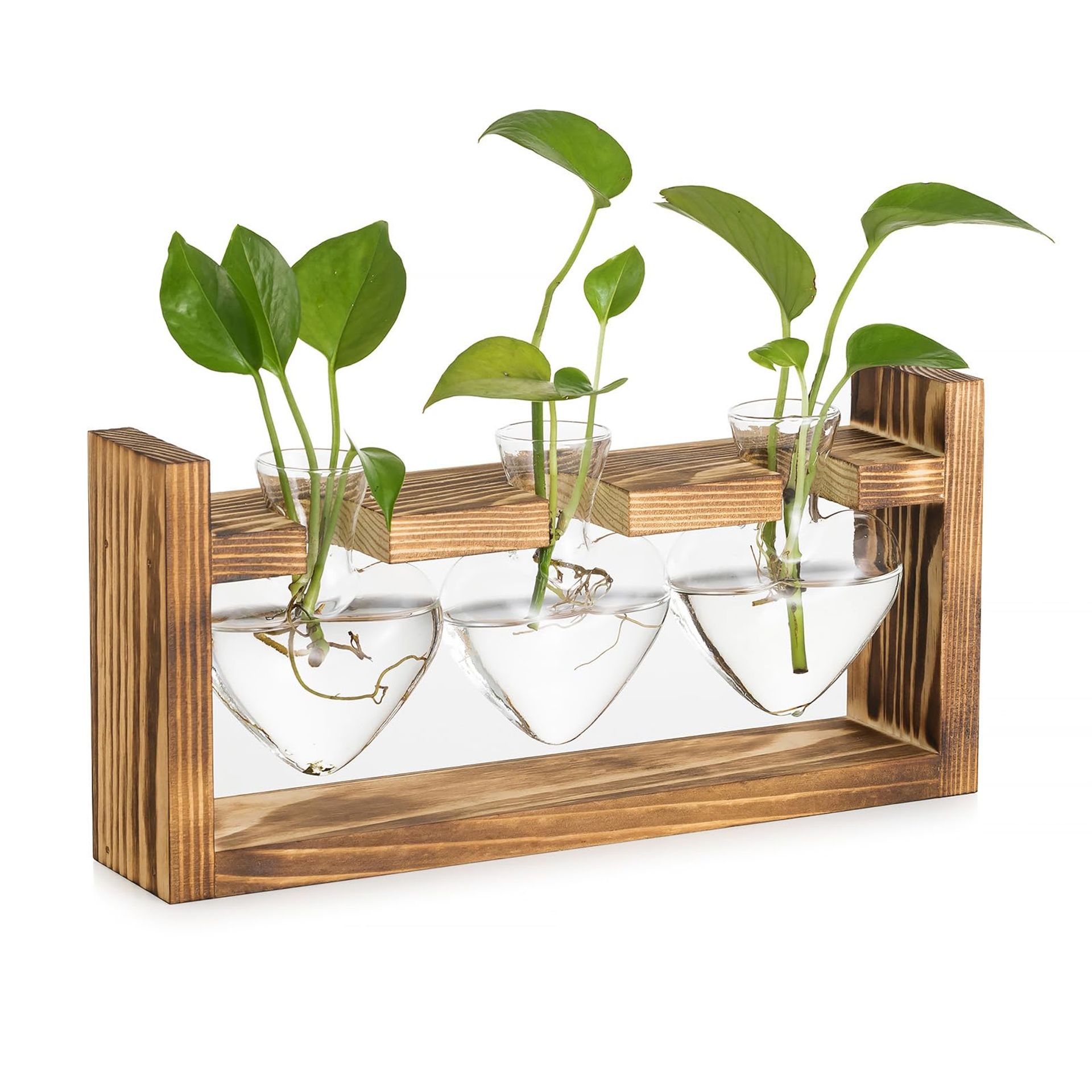 Glasseam Glass Propagation Station for Plant: Small Flower Vase with Vintage Wooden Frame Set for Indoor House Kitchen Window Desk Decor - 3 Bud Vases Terrarium Plants for Hydroponic Herb Rose Cutting