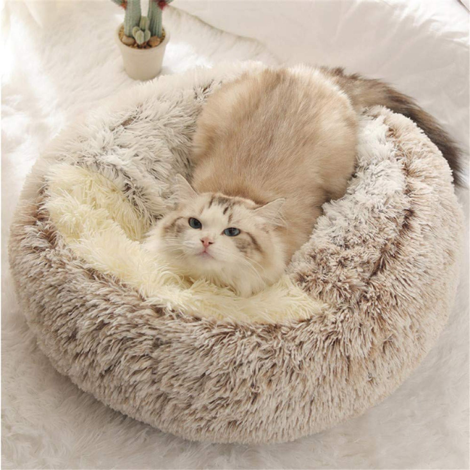 Fluffy Round Cat Bed Soft Plush Cave with Hood Warm Non-Slip Cushion - Plush L