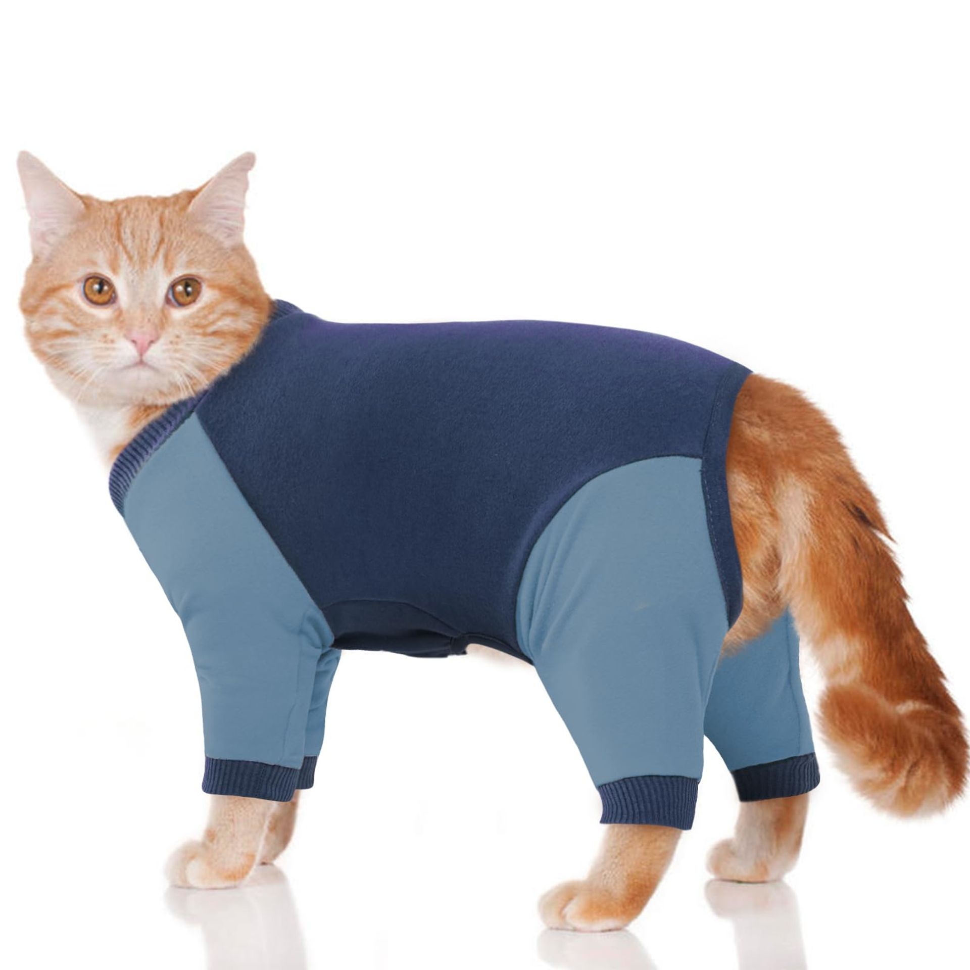 Sphynx Cat Sweater - Warm Turtleneck Onesie for Hairless Cats, XS-XXL, Limited Stock