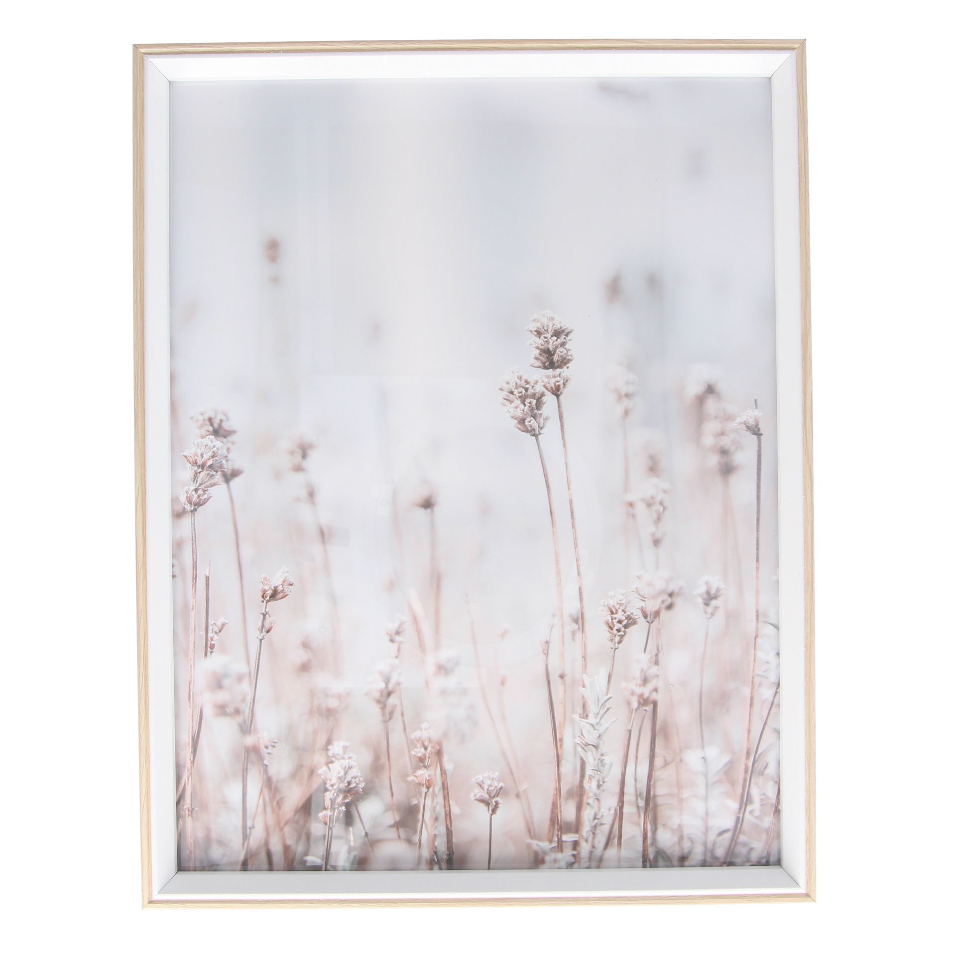 1 x Gisela Graham Lavender Nat. Framed Print, Large              