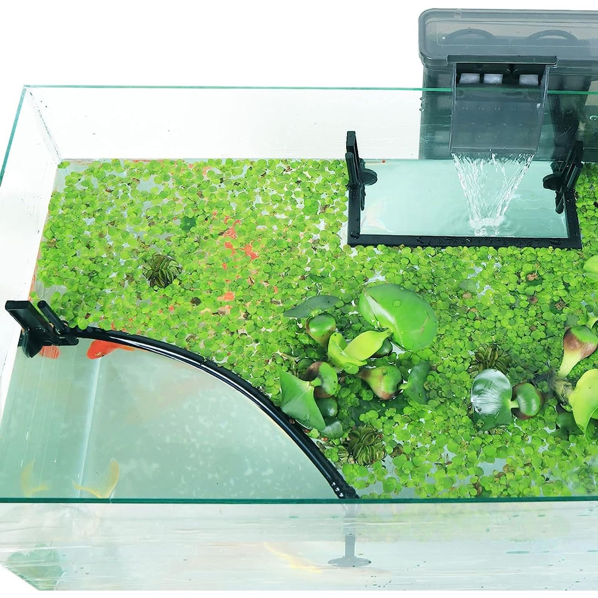 WANHUHOU Aquarium Floating Plant Corral, Adjustable Aquarium Plant Holder with Height with Water Level, Fish Tank Accessories for Framed and Frameless Aquariums