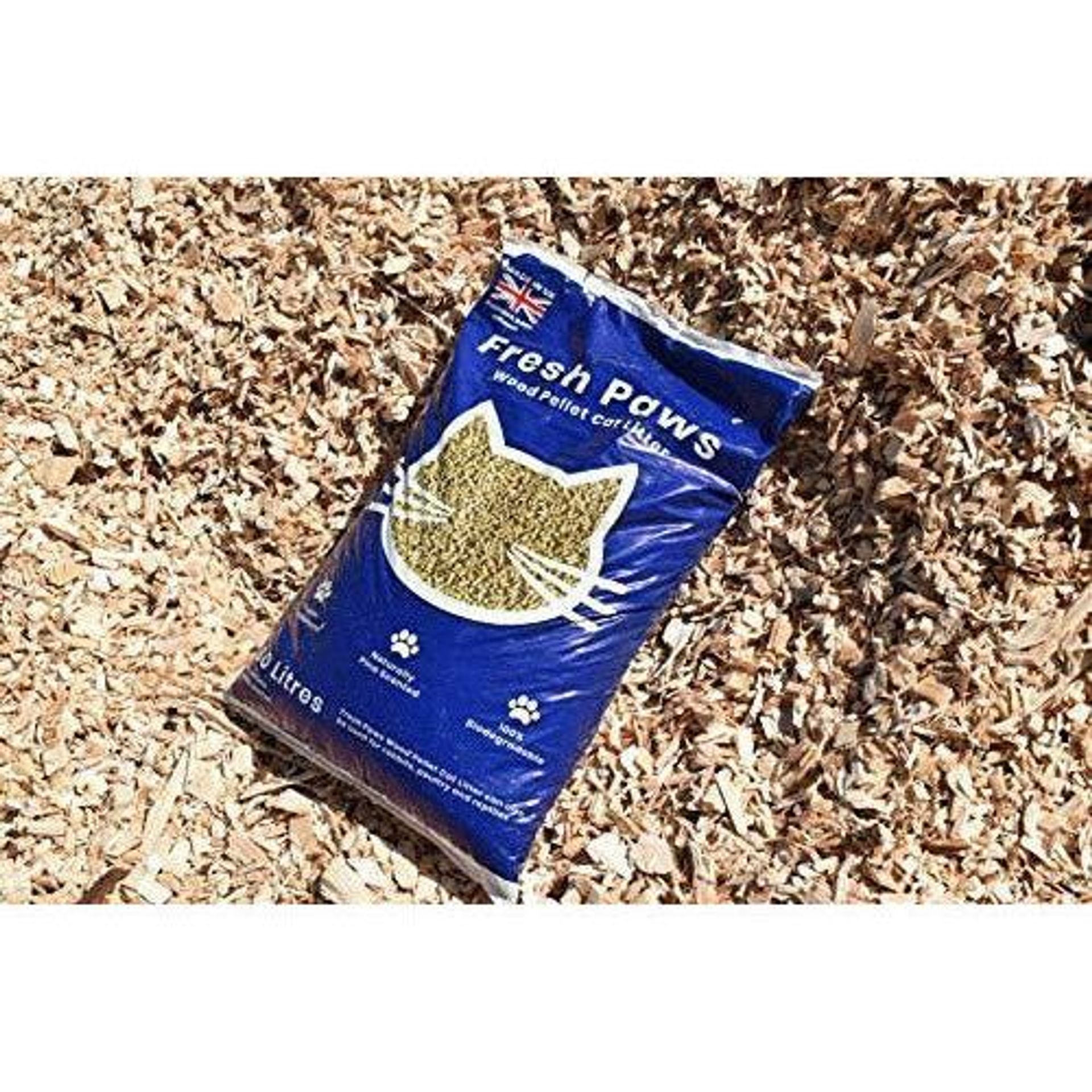 sensitive stomach cat food wet Royal Canin Feline Care Nutrition Digest Sensitive Loaf In Sauce Canned Cat  Food, 5.1 oz