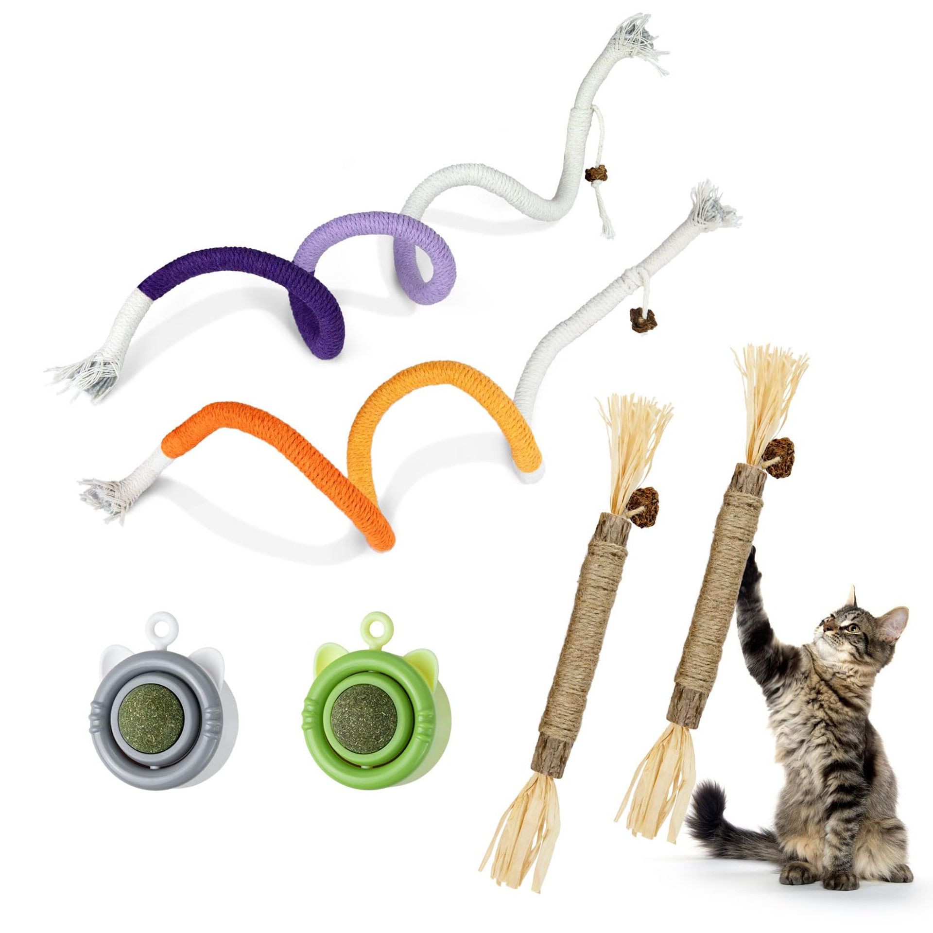 Pack of 6 Cat Chew Toys with Catnip Balls, Sticks & Teething Ropes for Kittens' Dental Care & Fresh Breath