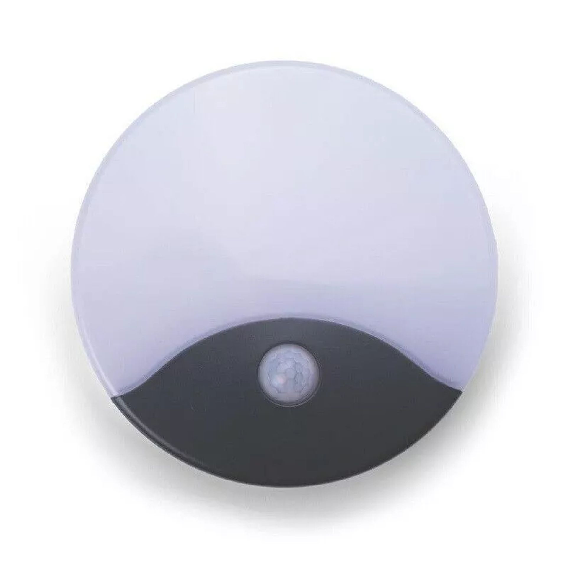 Michigan 12w Circular Bulkhead - 3 CCT - Anthracite Grey