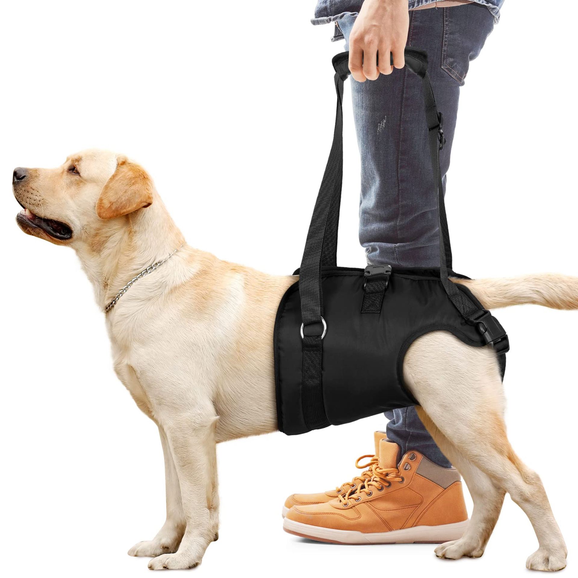 Dog Support Sling Harness for Hind Leg Mobility Aid, Rear Leg Lift for Elderly Dogs with Arthritis, Injuries & Hip Dysplasia