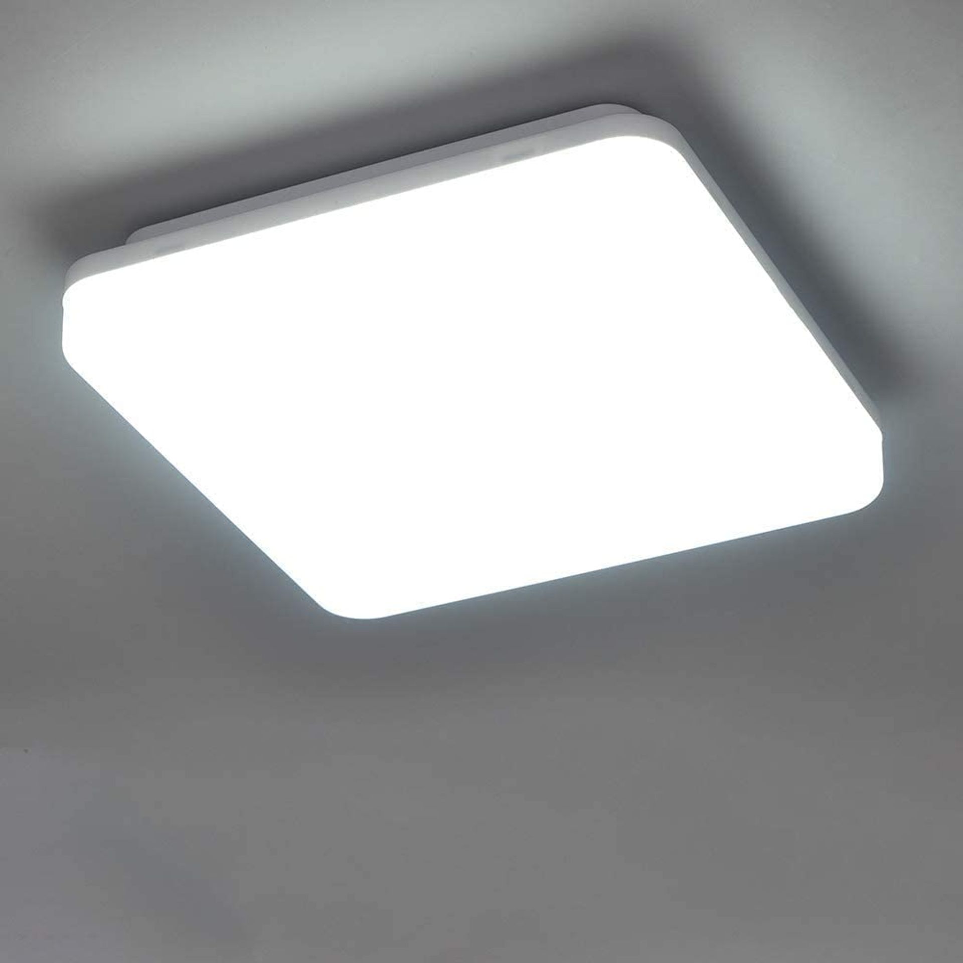 24W Waterproof LED Ceiling Light, 2050lm, Cool White 6000K, Ø33cm Dome Flush for Indoor Use