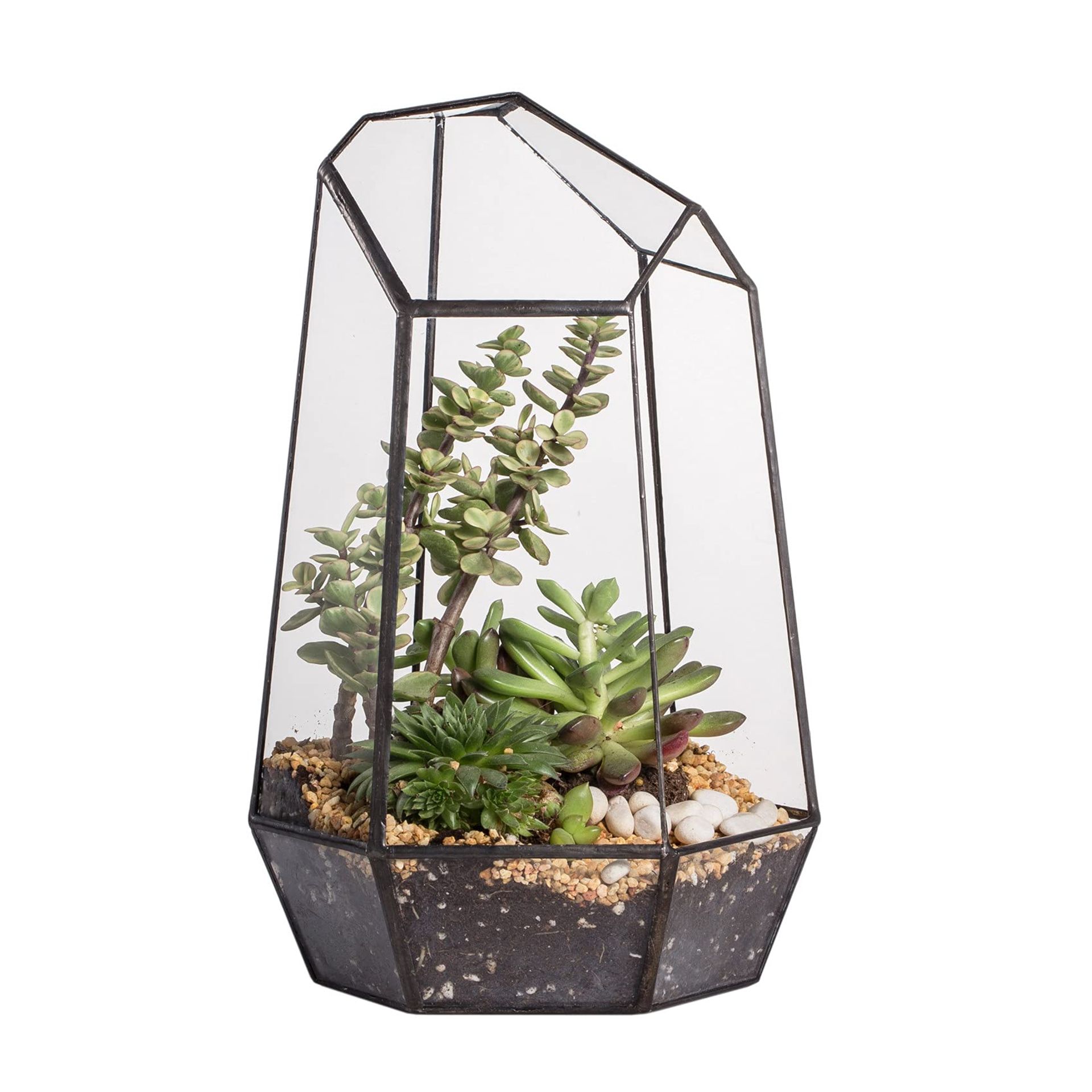 Geometric Glass Terrarium Planter for Succulents & Air Plants - Black Tabletop Indoor Decor 16.5 x 14.5 x 25cm