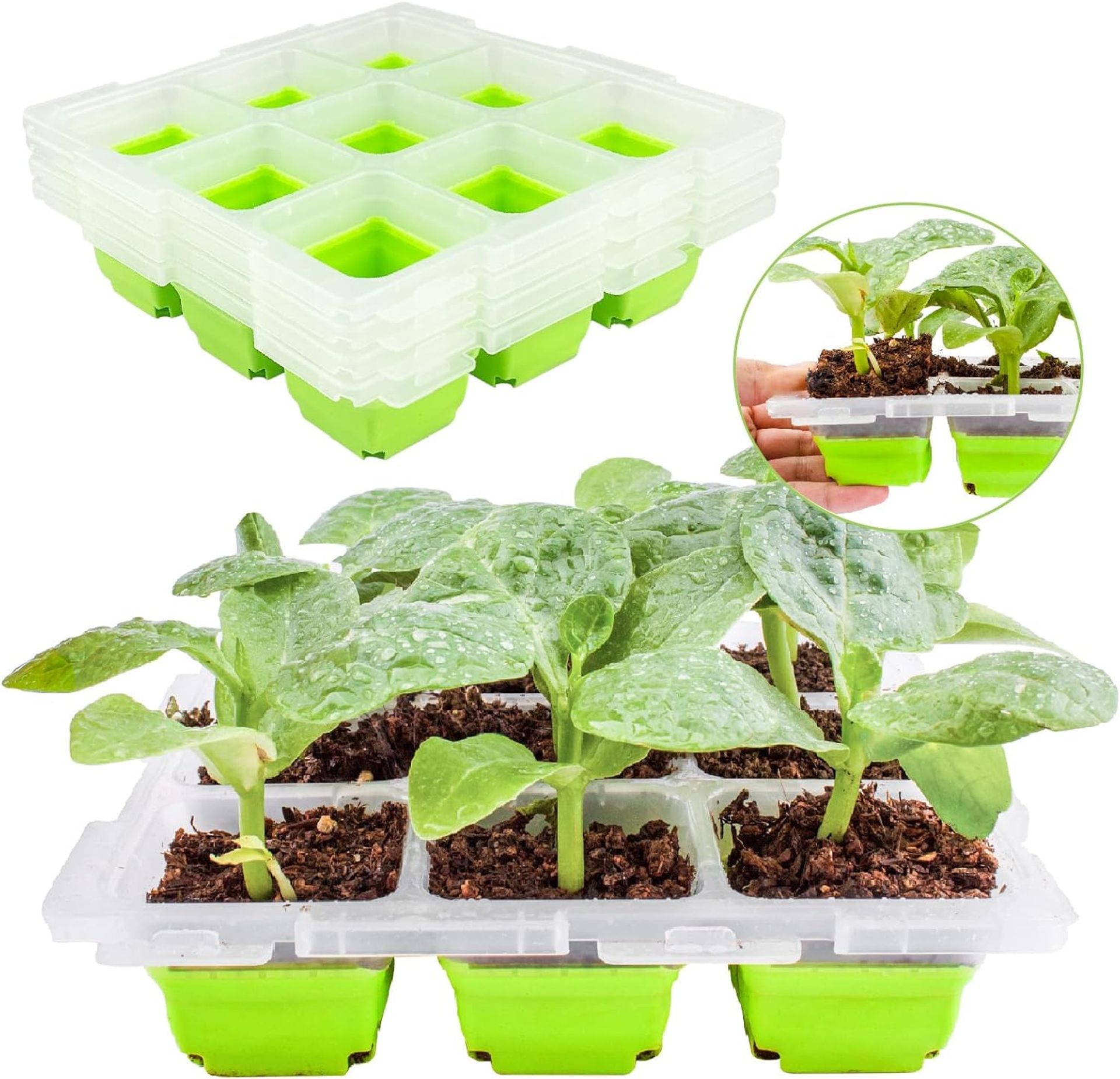 4-Pack 36-Cell Reusable Seed Starter Trays for Vegetables, Flowers & Herbs - Mini Propagator Greenhouse Kit