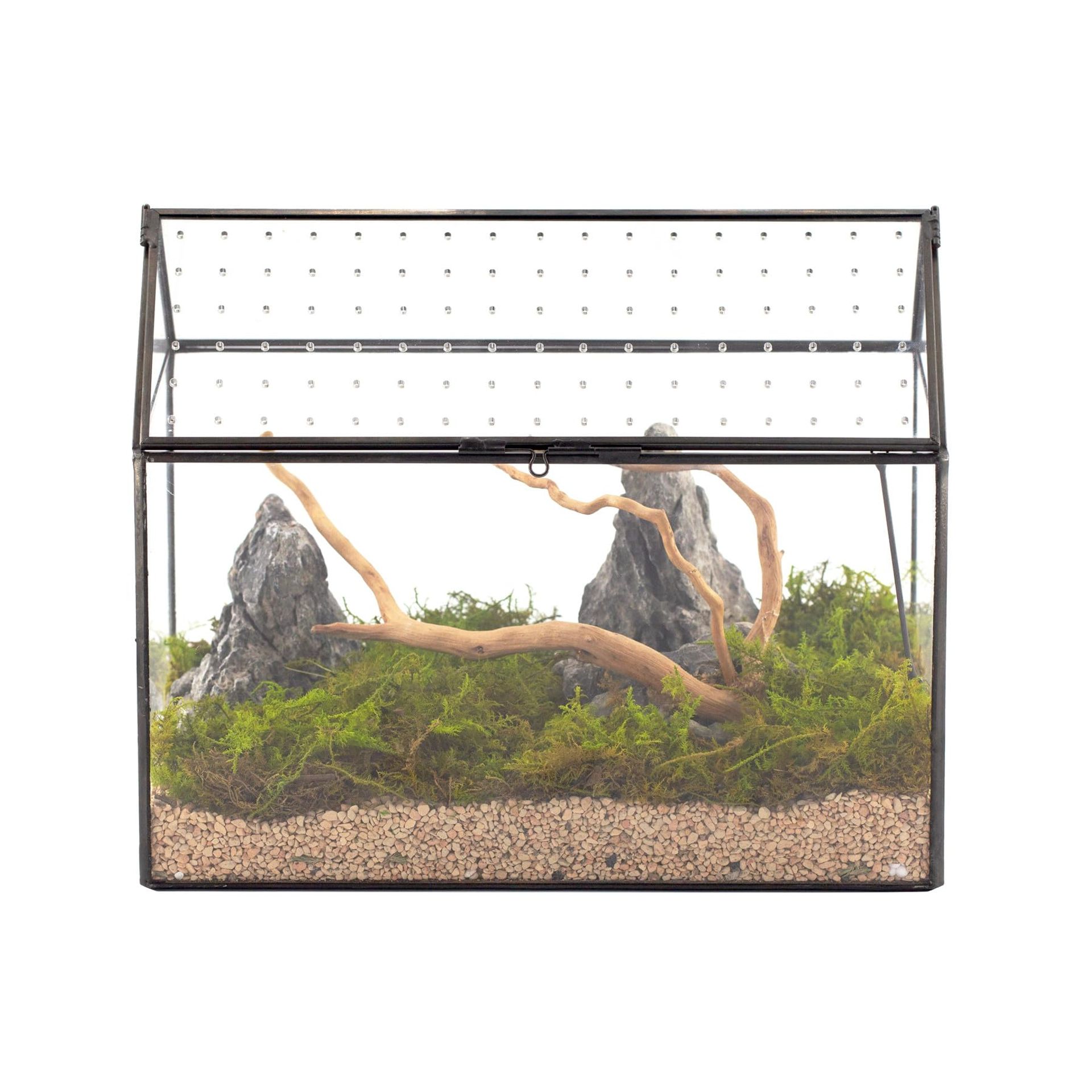 House Shape Glass Terrarium with Acrylic Lid Ventilated Display Box for Snails, Ferns and Succulents - Black 26x15x21 cm