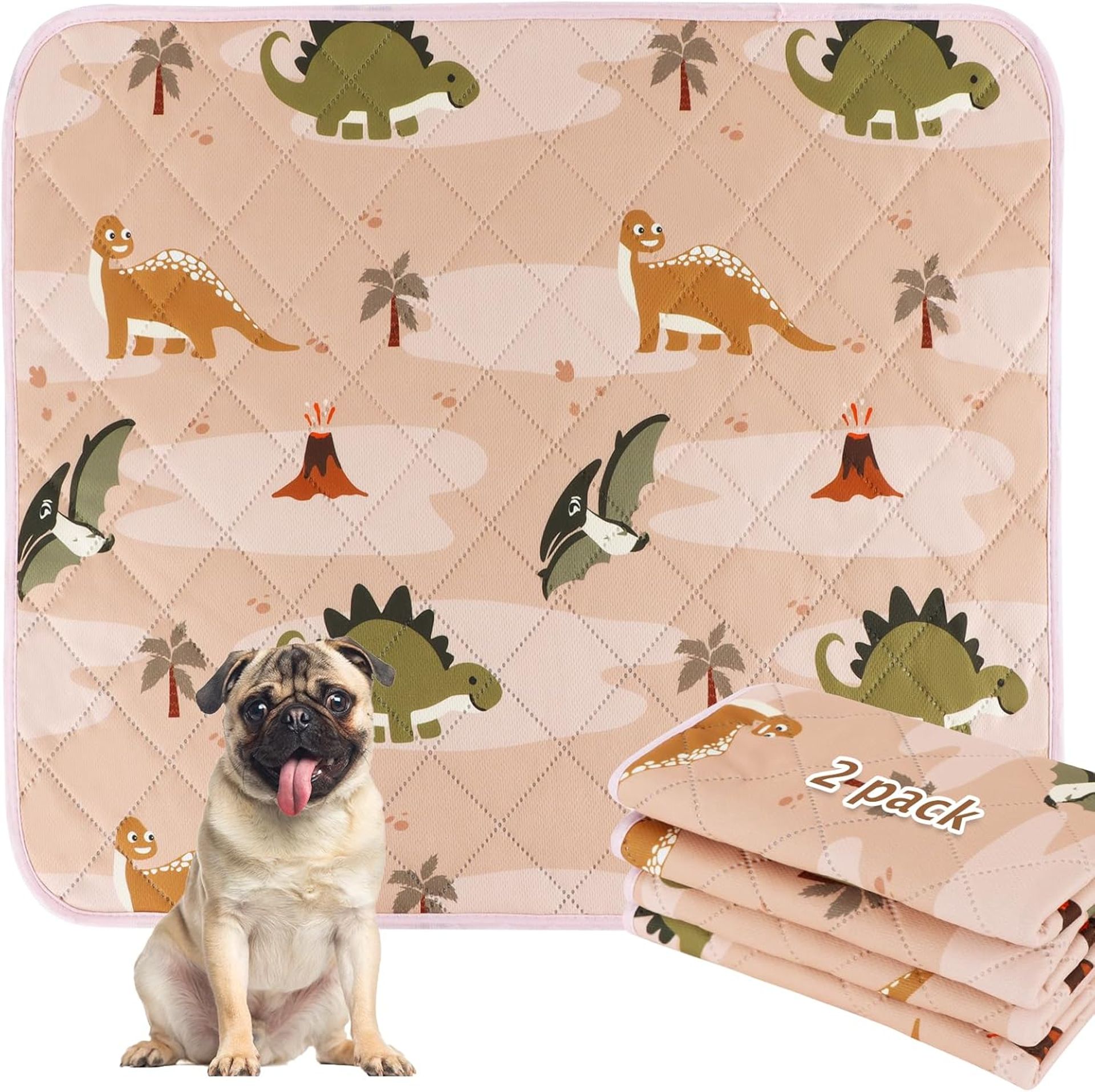 Washable Dog Pee Pads 2 Pack - Reusable, Leakproof, Non-Slip, Super Absorbent Training Pads 90x60cm - Dinosaur Pattern