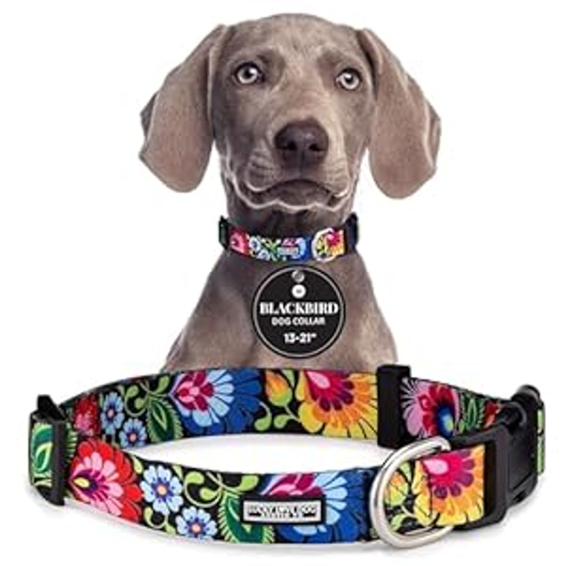 Adjustable Dog Collar with Quick-Release Buckle, Durable & Comfy for Puppies to Large Dogs - Blackbird Style, Medium