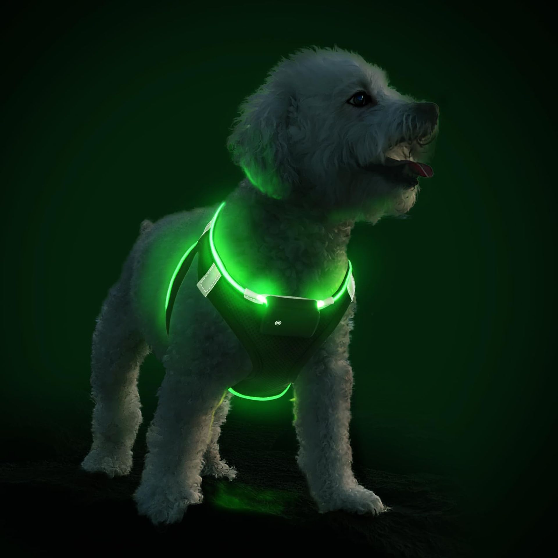 Light Up Dog Harness Rechargeable LED Reflective Waterproof for Night Walking 3 Flashing Modes - Black Green XS