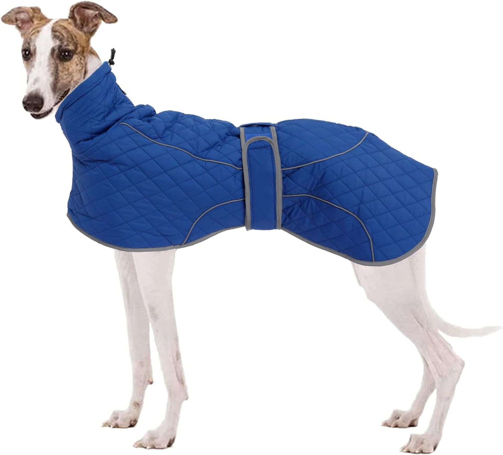 Greyhound & Whippet Winter Coat Water-Resistant Fleece-Lined Dog Jacket with Reflective Trim - Blue Plaid XXX-Large