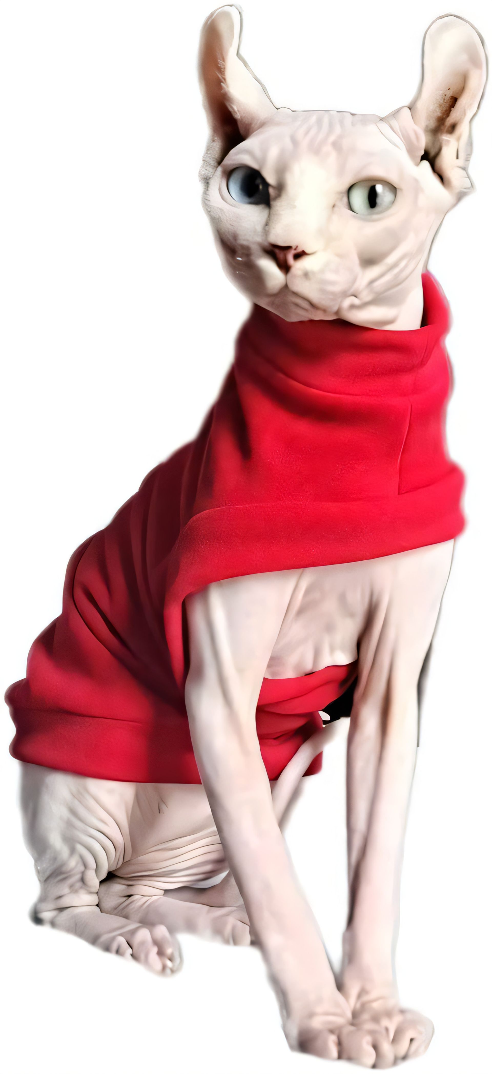Warm Winter Fleece Sweater for Hairless Cats - Red S - Perfect for Sphynx, Devon Rex, Peterbald