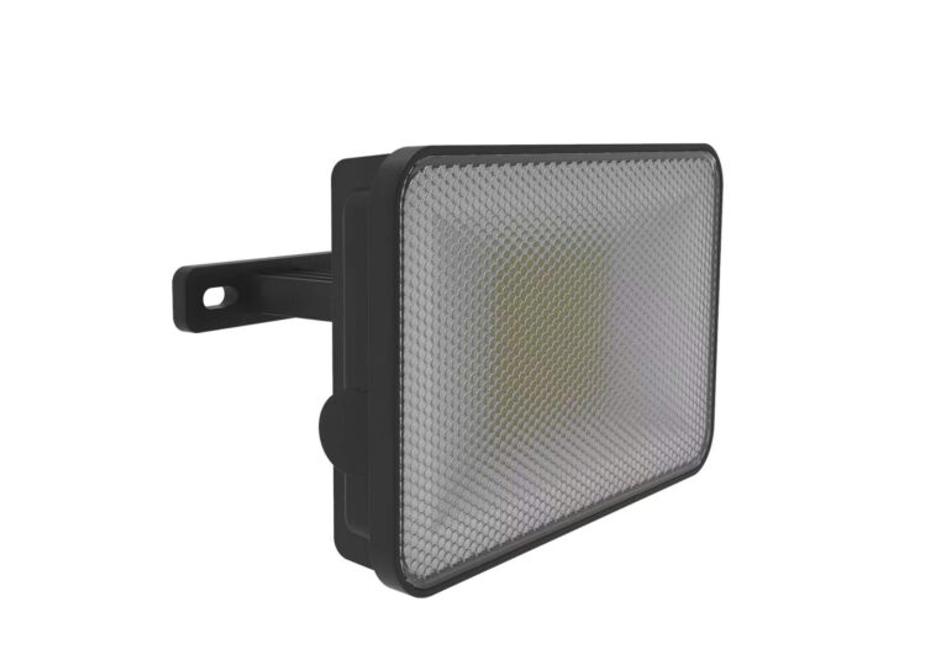 Foss Classic Floodlight 30w c/w PIR