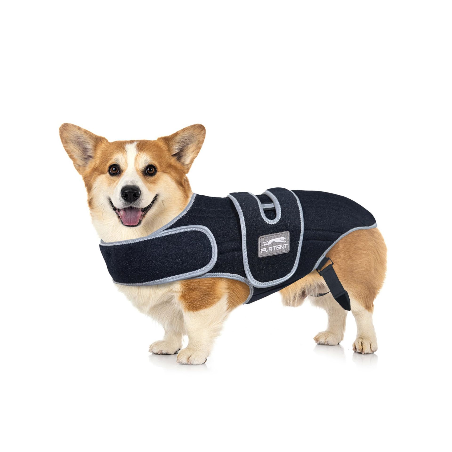 Dog Back Brace for IVDD Support Adjustable Pain Relief Harness with Reflective Fabric for Spinal Injury Recovery - Dog Back Brace M