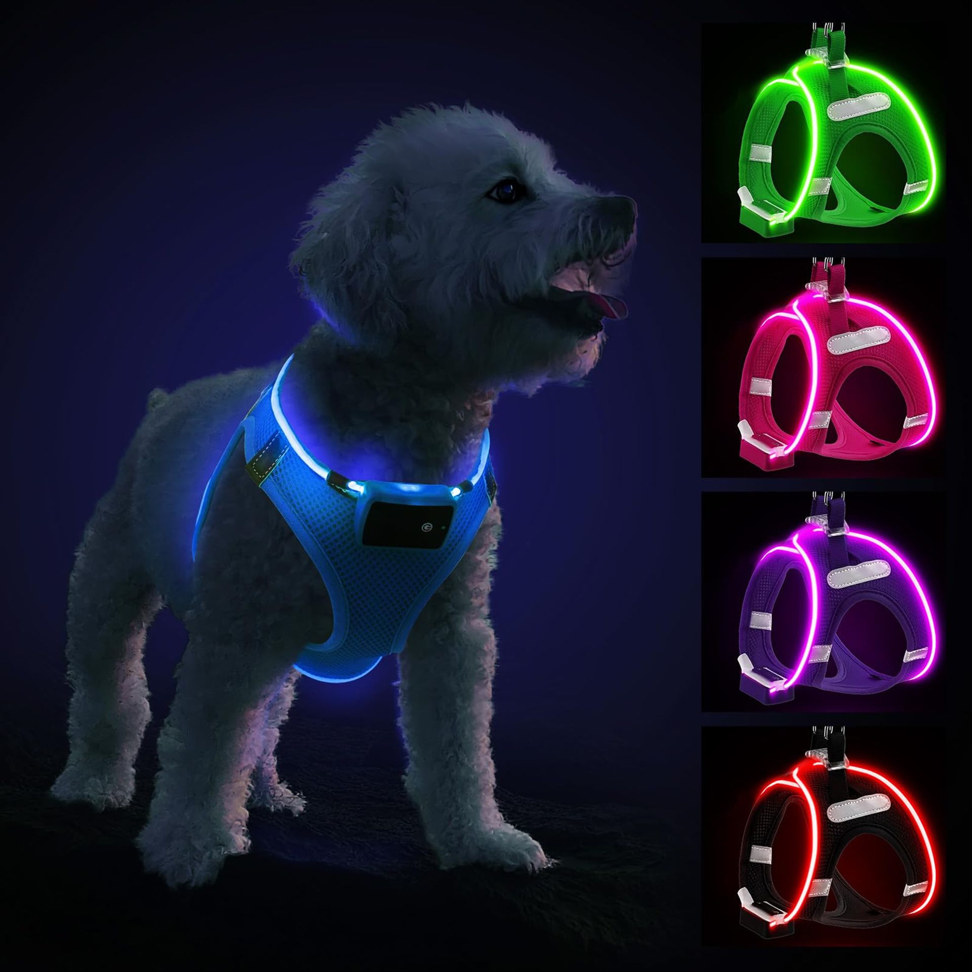 Light Up Dog Harness Rechargeable LED Waterproof Reflective Glow for Safe Night Walking - Blue XS