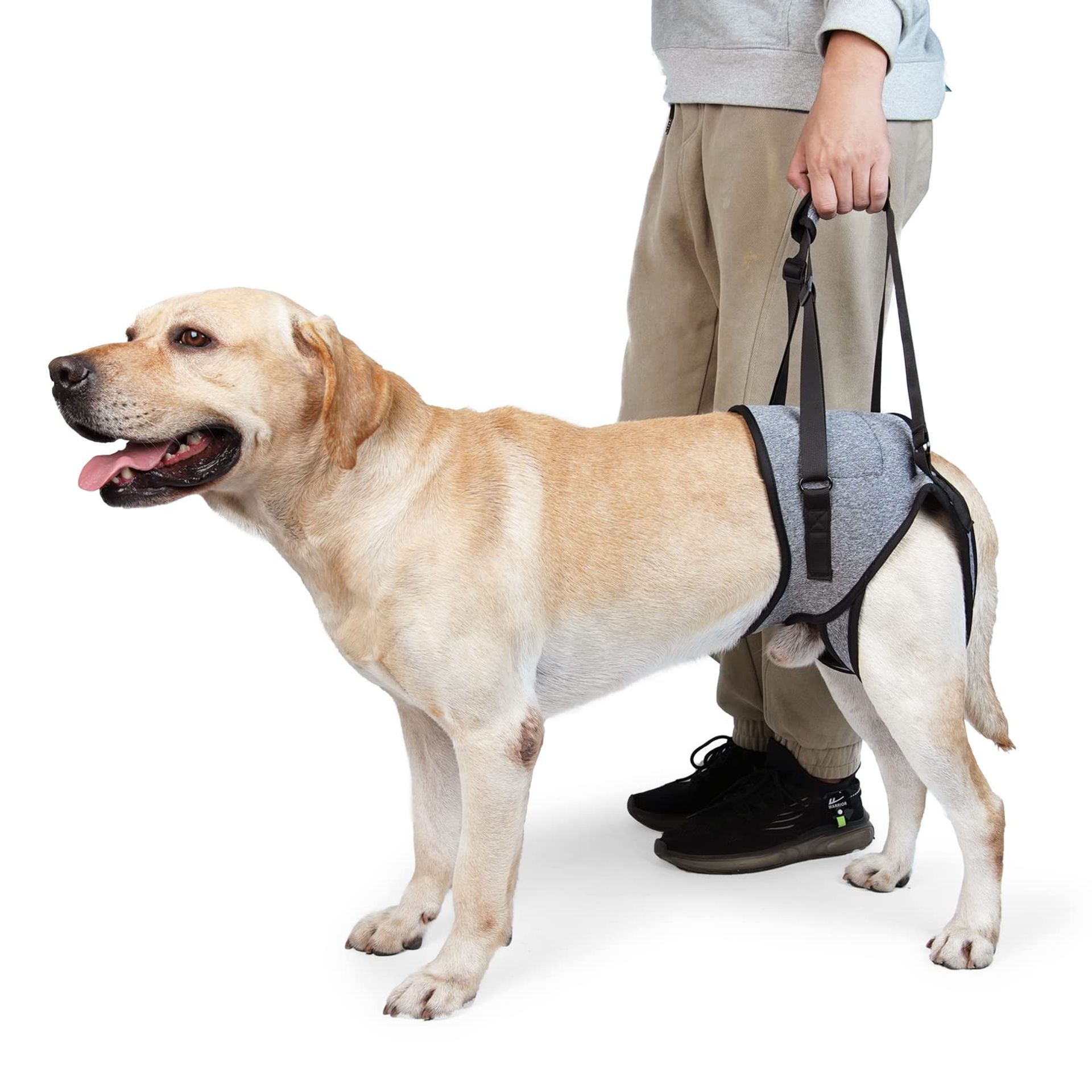 Dog Lifting Harness Soft Breathable Back Leg Support Sling for Injured or Disabled Dogs - Grey XL