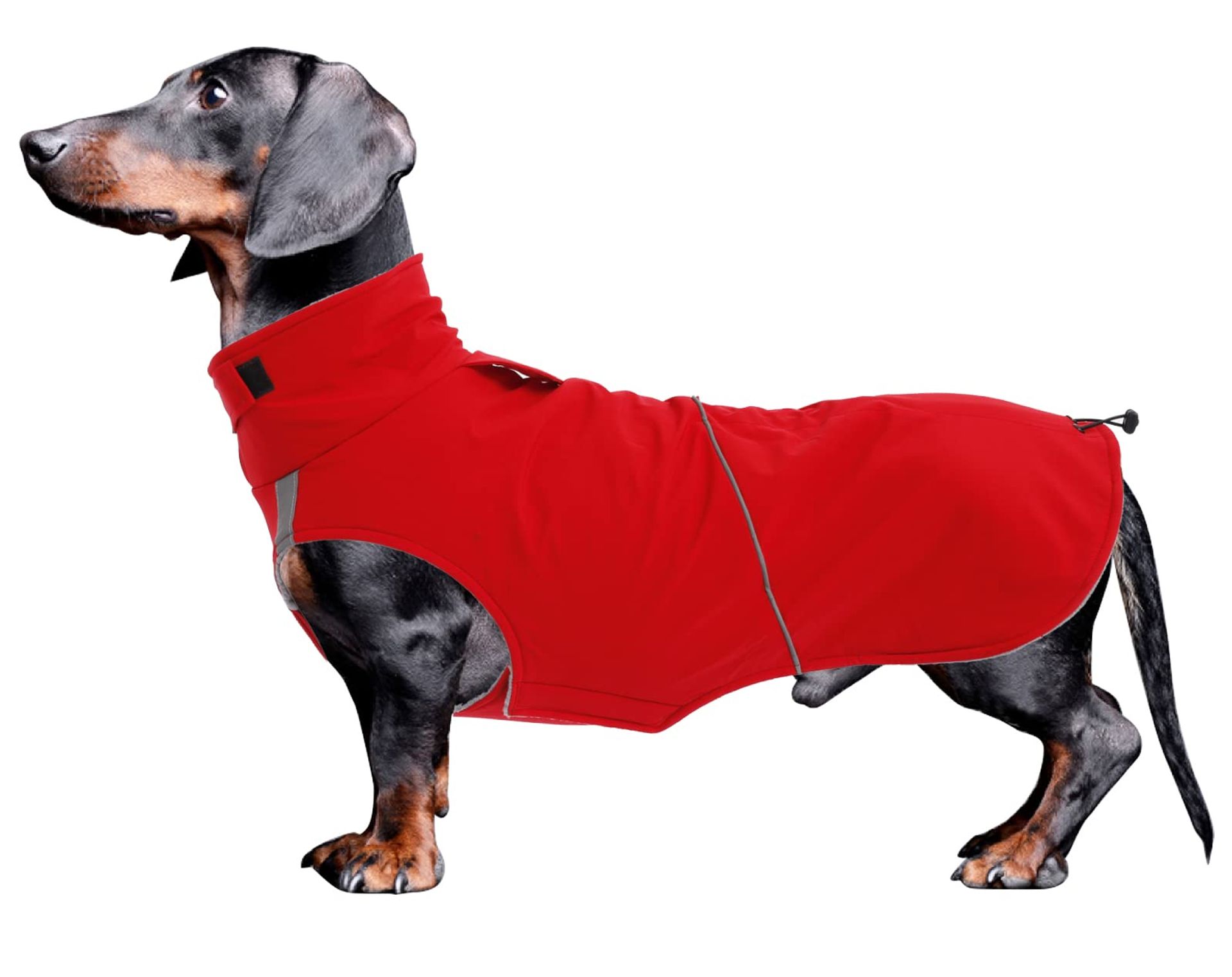 Dachshund Dog Coat Water Resistant Fleece Winter Jacket with Reflective Stripe - Red Medium