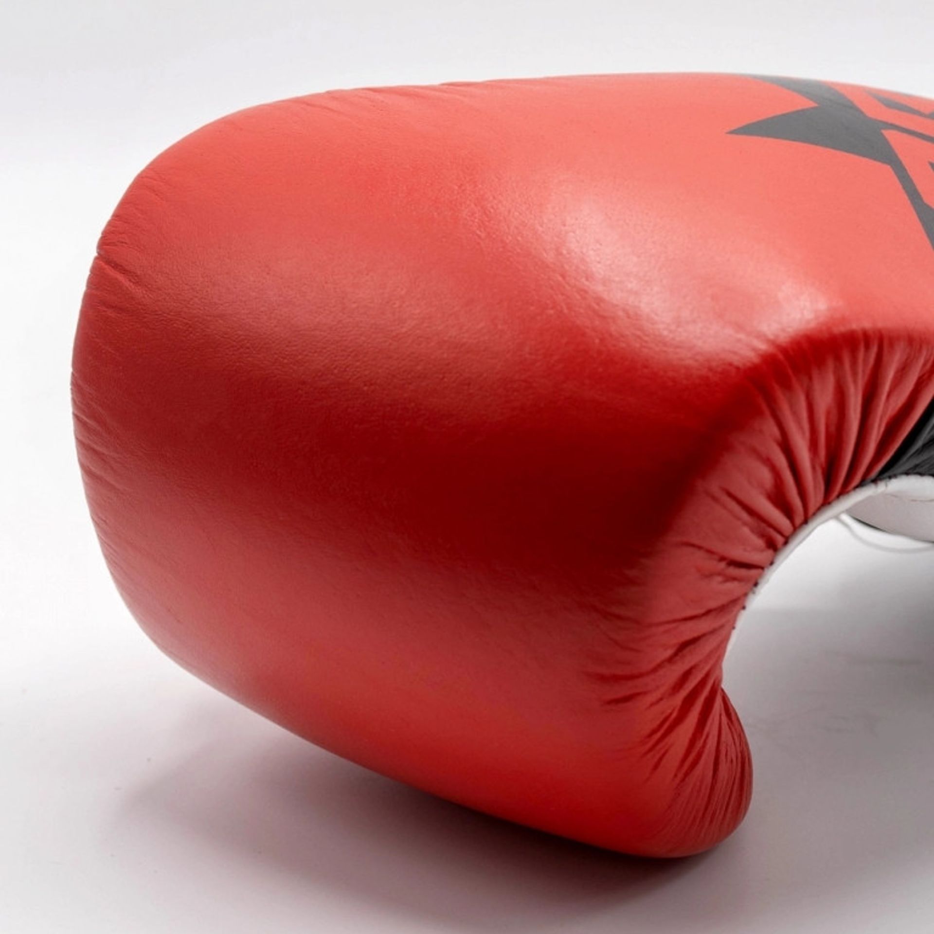 Forza - Star Boxing Gloves – Leather - 10oz