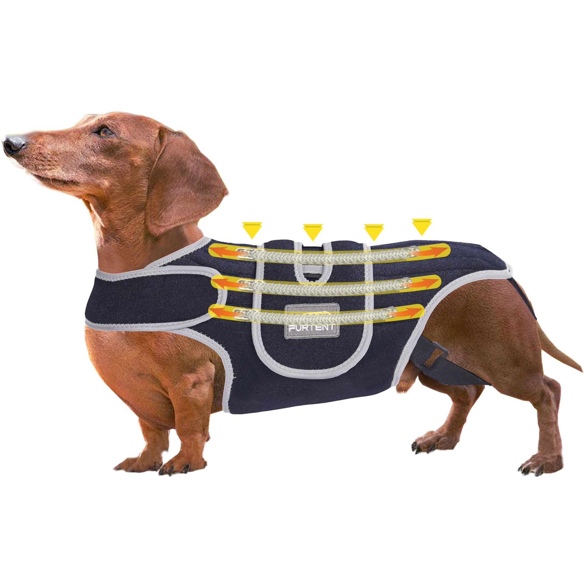 Dog Back Brace Support Vest for IVDD, Post-Surgery Recovery, Reflective Adjustable Straps - Black Small
