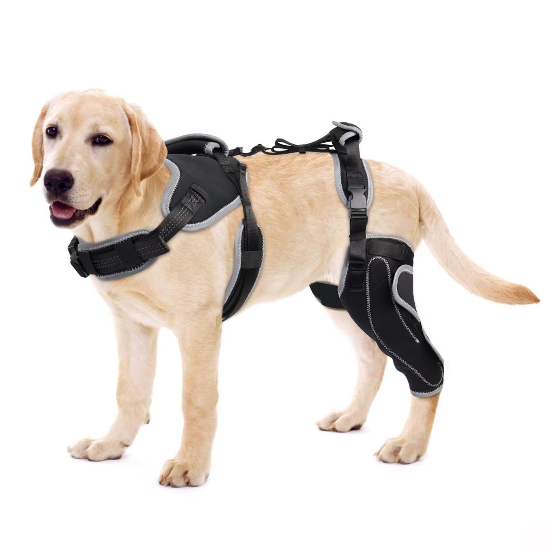 Dog Knee Brace for Torn ACL/CCL Adjustable Hind Leg Support with Metal Hinges Pain Relief & Recovery - Left Leg M