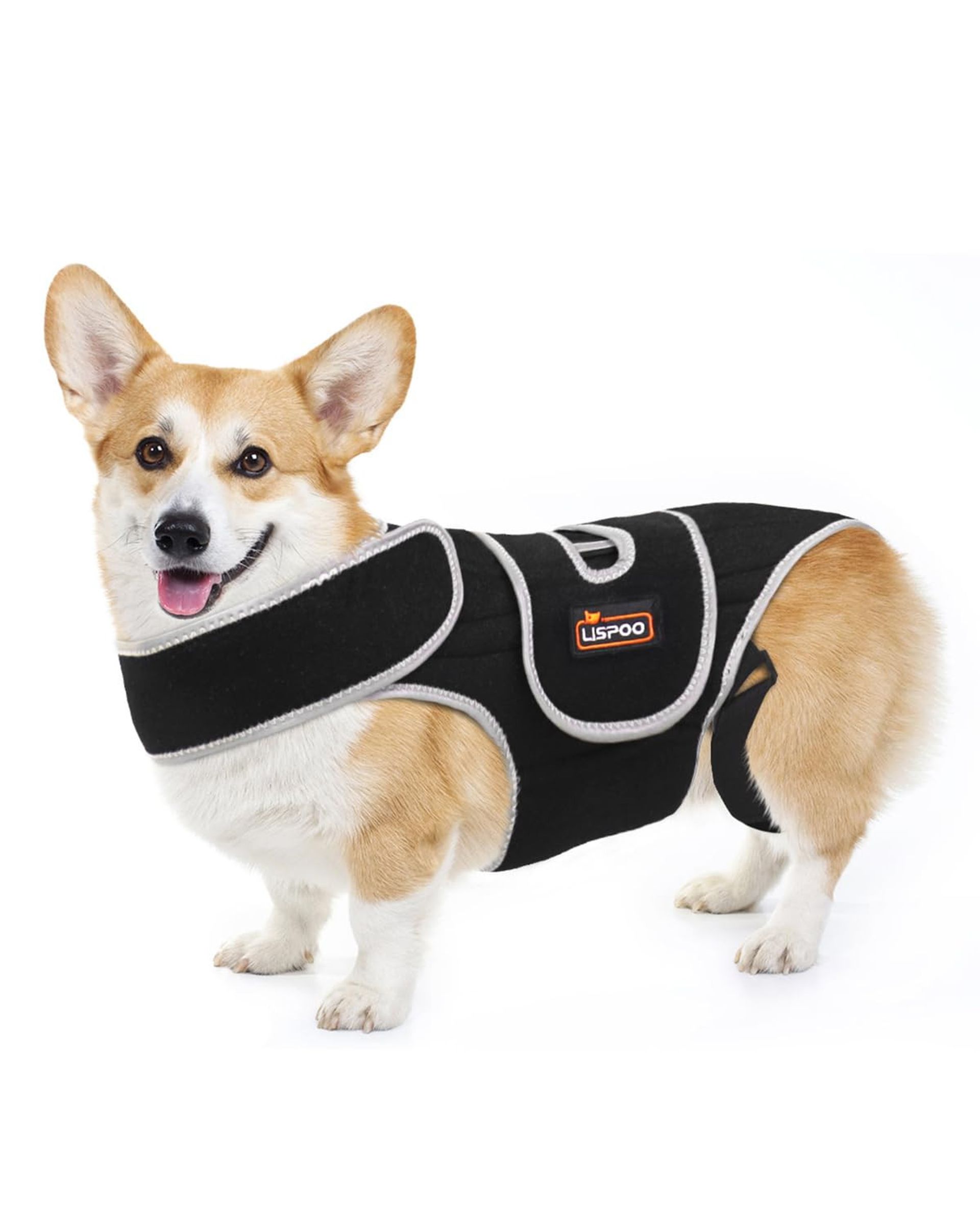 Dog Back Brace for IVDD Orthopaedic Spine Support Harness with 6 Rigid Stays, Adjustable and Reflective Recovery Aid - Dog Back Brace M