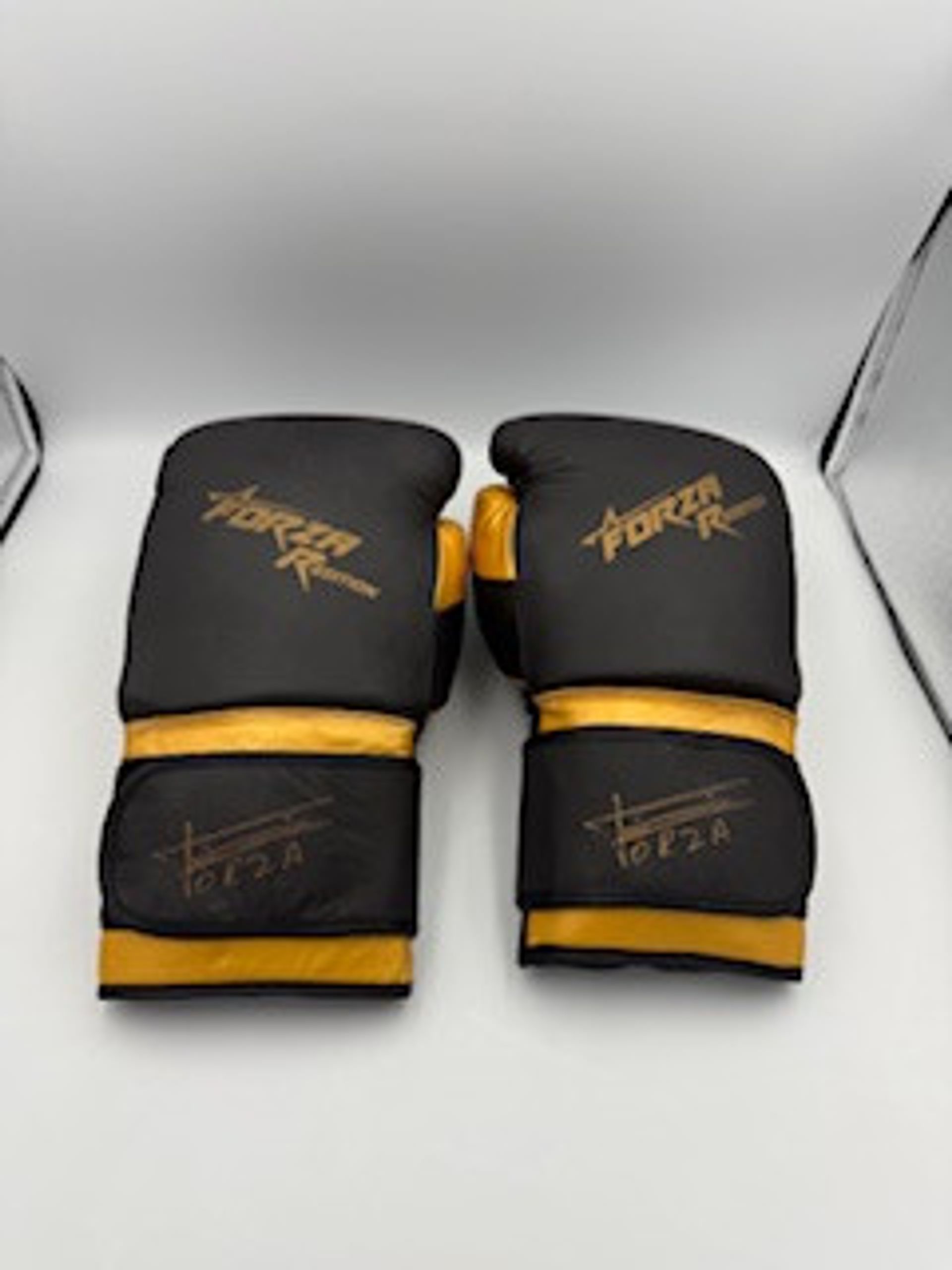 Forza Gloves Rr Special Edition Leather - Black Gold 14Oz