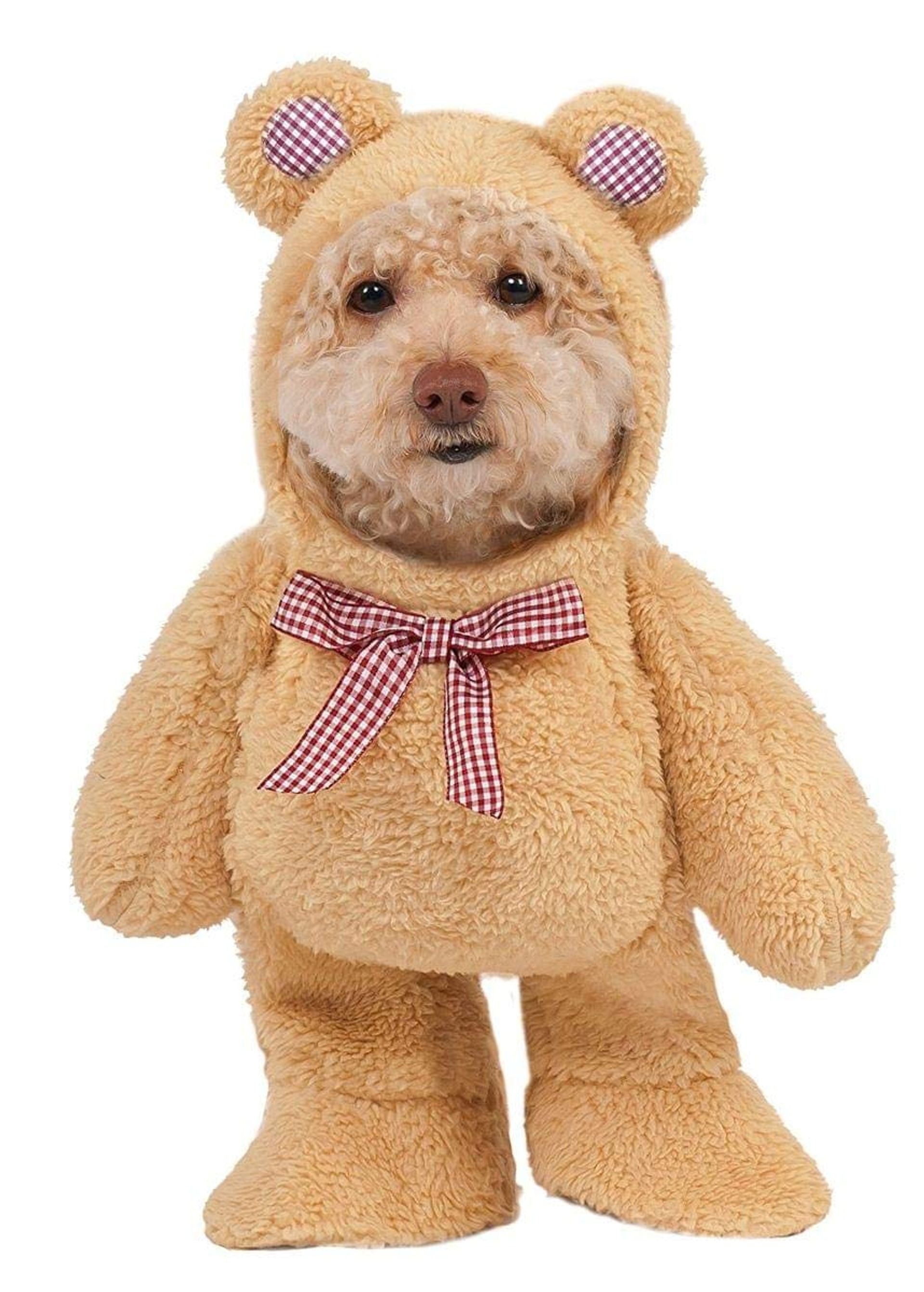 Teddy Bear Pet Costume Walking Design with Movable Arms and Hoodie - Beige Medium