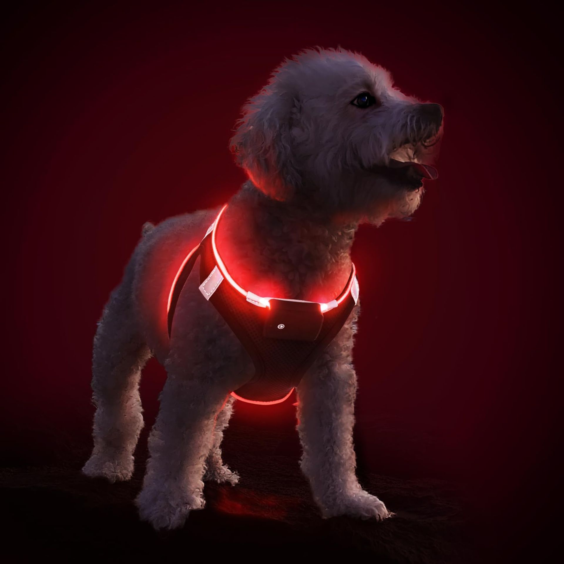 Light Up Dog Harness Rechargeable LED Waterproof Reflective Glow for Safe Night Walks - Black Red XS