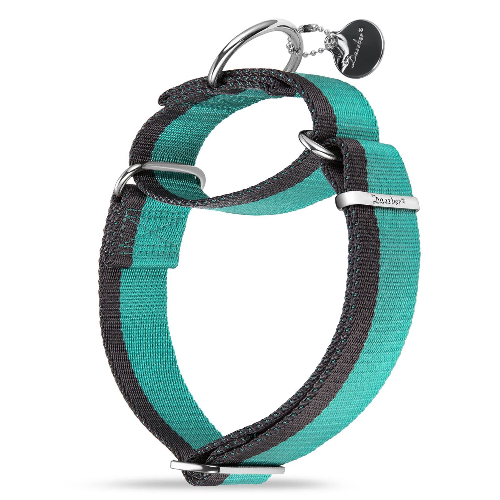 Martingale Dog Collar Extra Strong No Pull Nylon with Dual Colour Stripe - Mint Blue & Grey Large