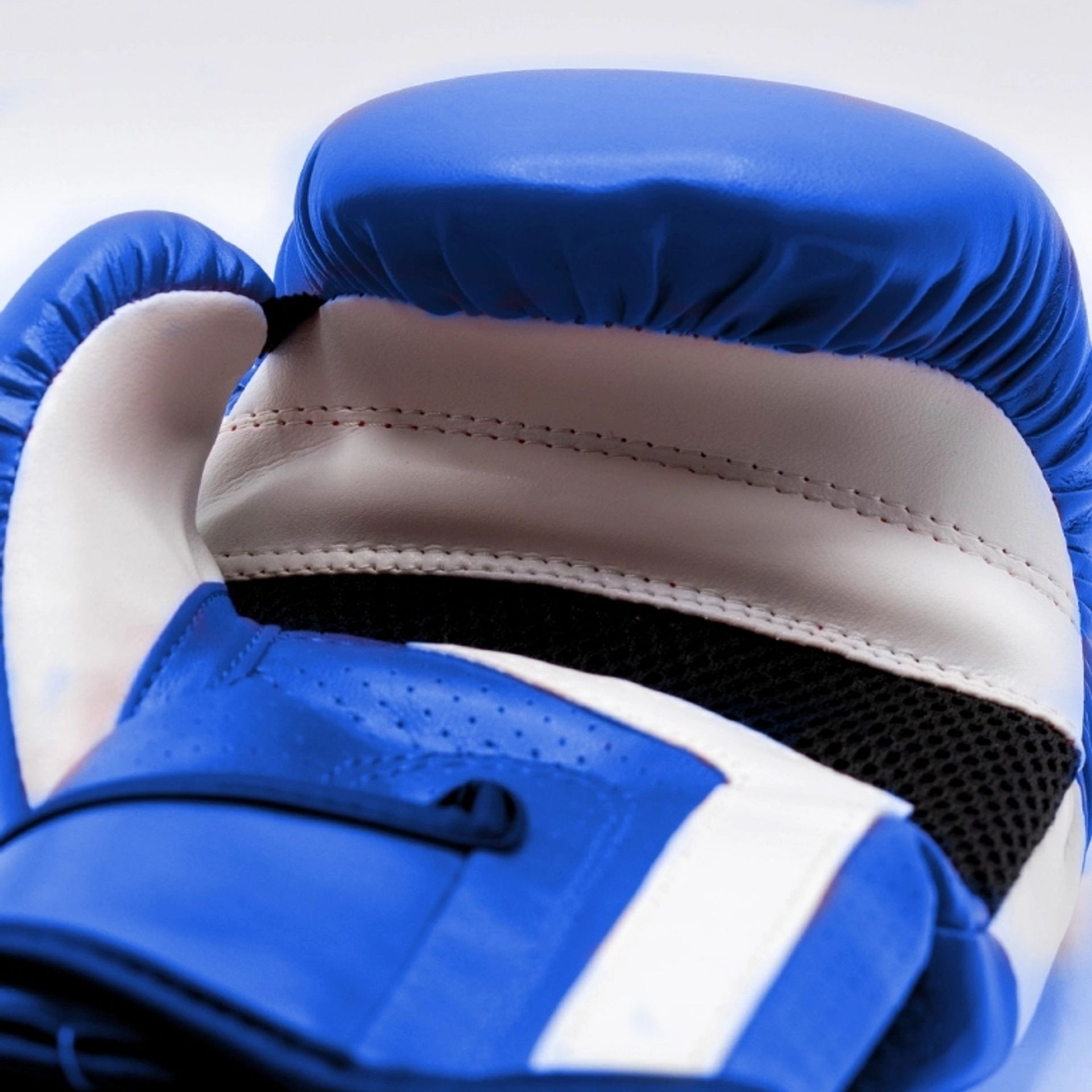 Blue Leather Boxing Gloves - 10oz
