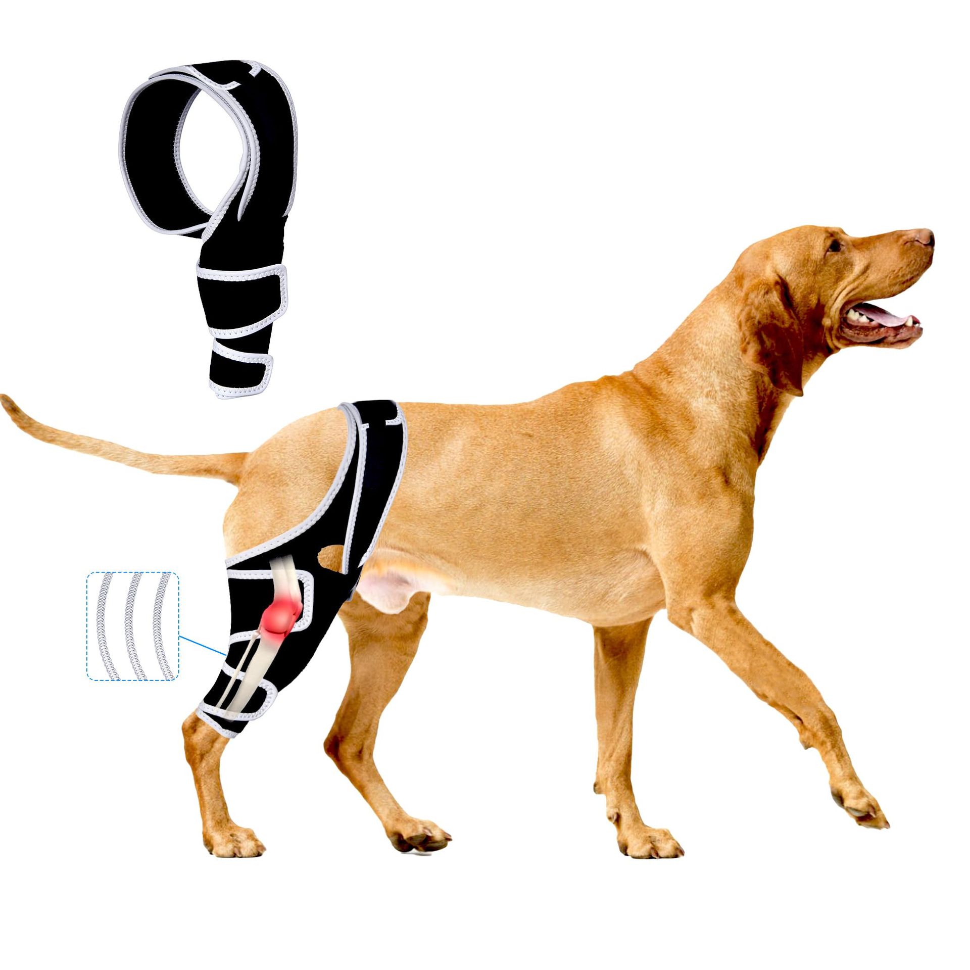 Dog Knee Brace for Torn ACL and Joint Support, Wrap for Luxating Patella, CCL Injury Relief, Adjustable Fit - Black M