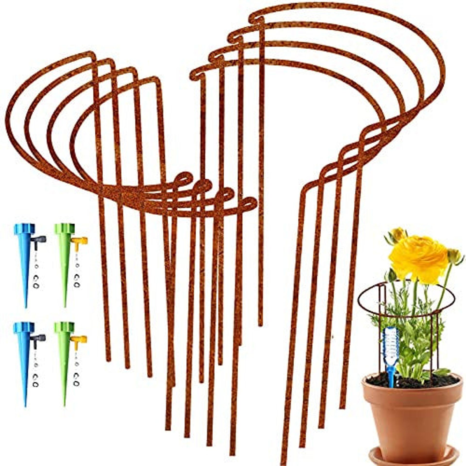 60cm Rust Finish Plant Support Stakes with Self Watering Spikes - Half Round Metal Garden Frame for Peonies & Shrubs