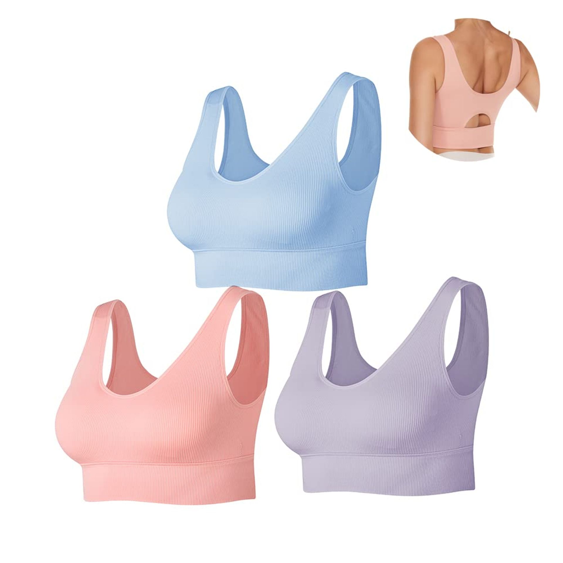Women's Seamless Ribbed Sports Bra 3 Pack Medium Support with Removable Pads - Pink Purple Blue L